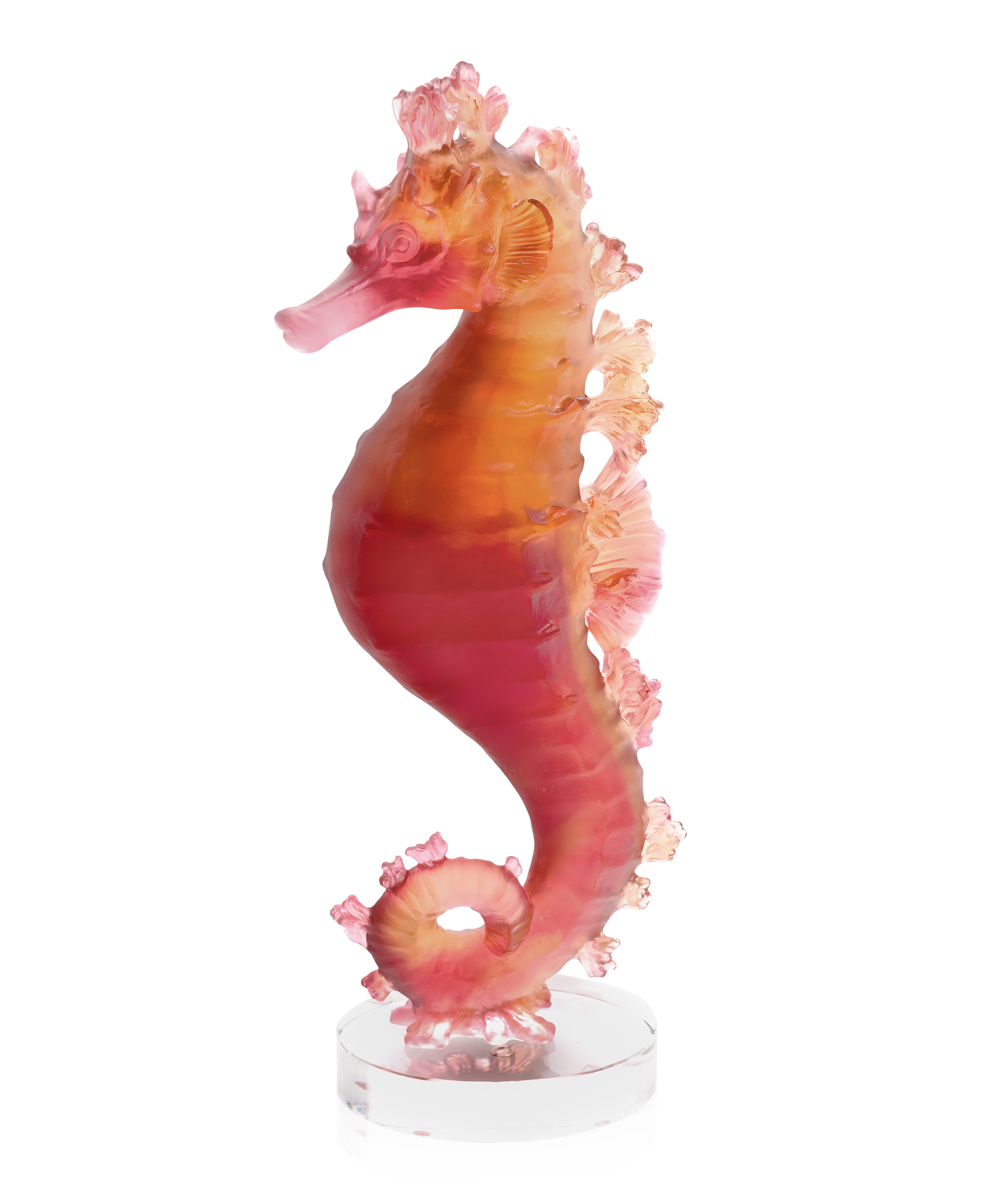 Mer de Corail Hippocampe Ambre rouge - Daum
