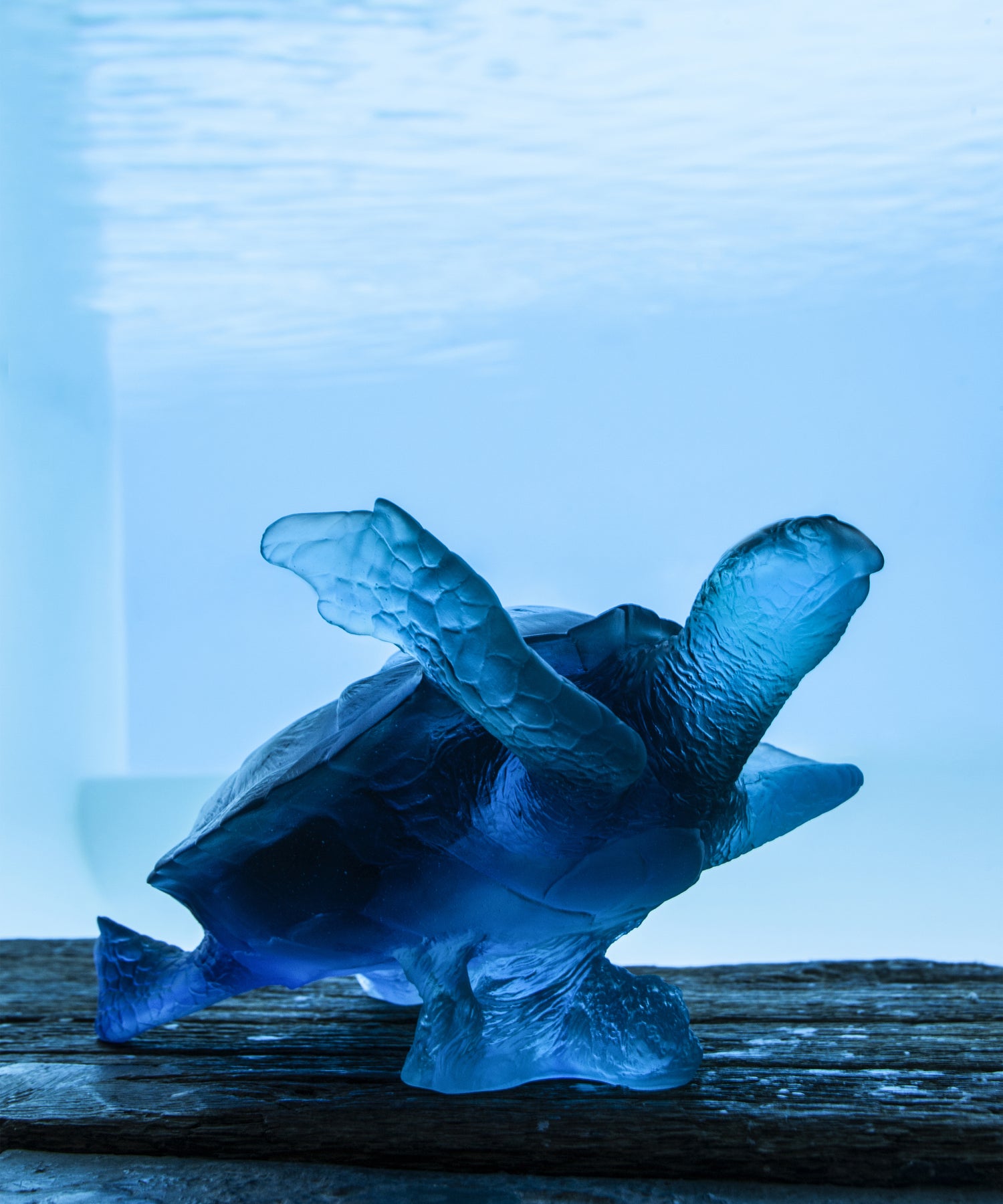 Tortue de mer bleue en verre de grande taille de la collection Mer de Corail par Daum, sculpture artistique élégante.