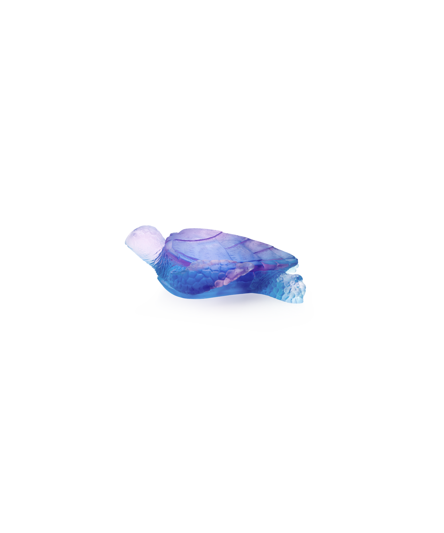 Mer de Corail Tortue de mer moyen modèle Bleu et rose - Daum