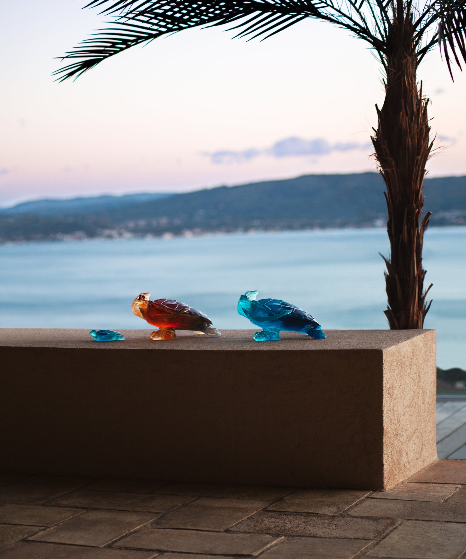 Mer de Corail Tortue de mer moyen modèle Bleu et rose - Daum