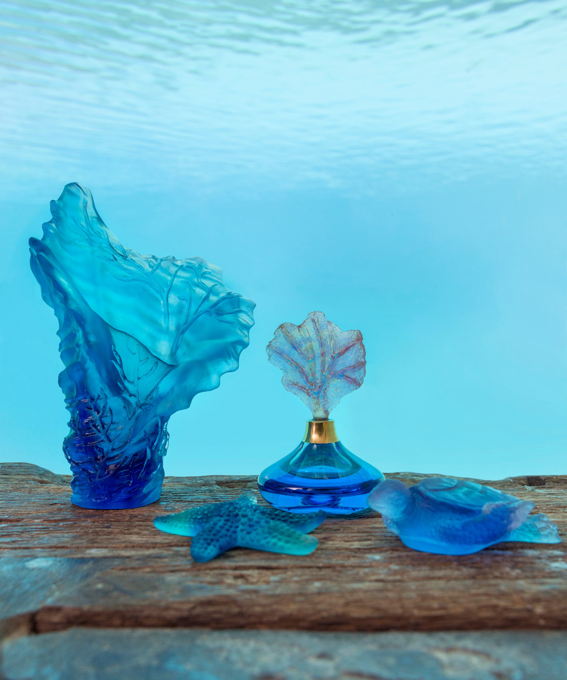 Mer de Corail Tortue de mer moyen modèle Bleu et rose - Daum