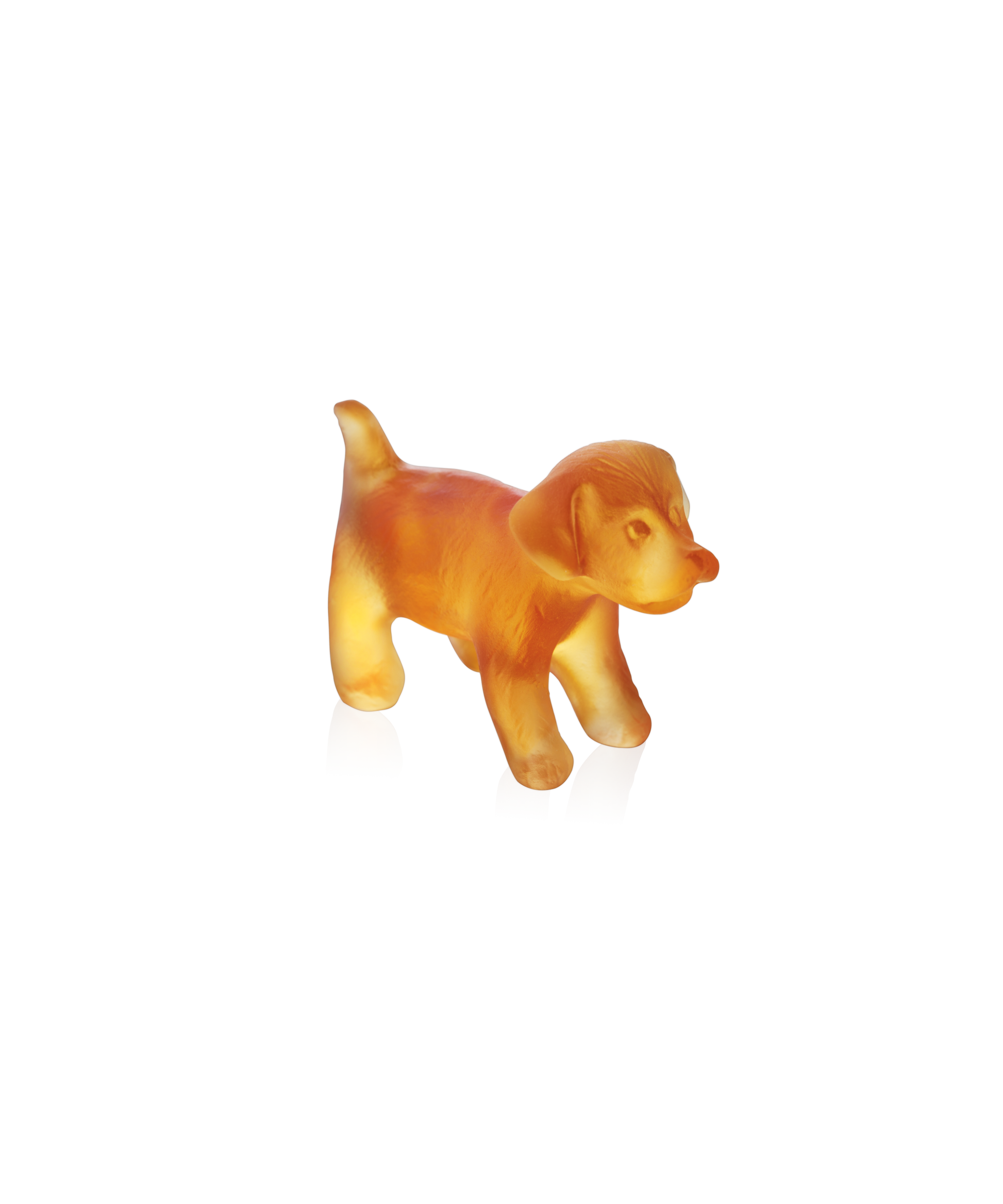 Mini-chiot debout - Daum