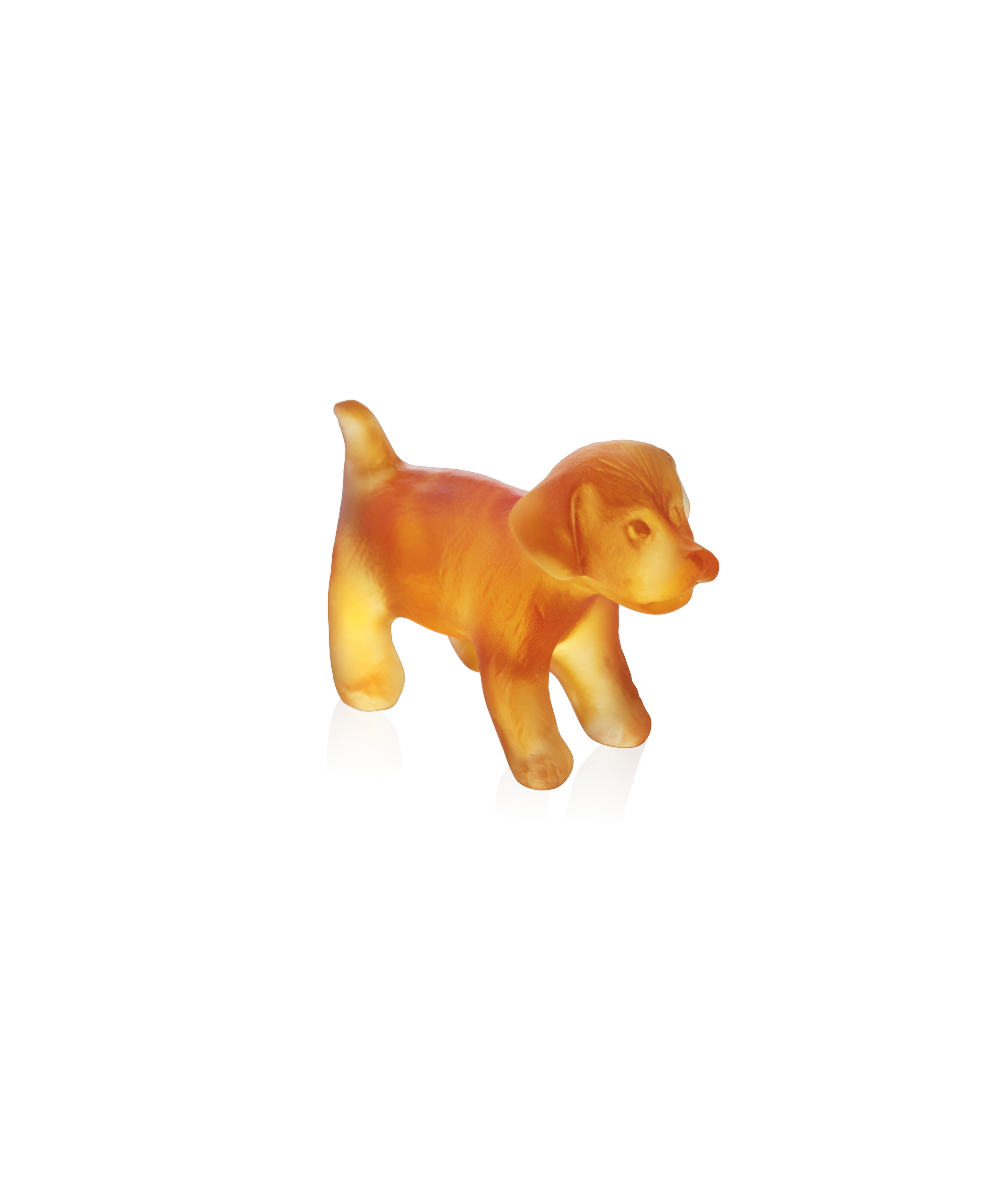 Mini-chiot debout - Daum