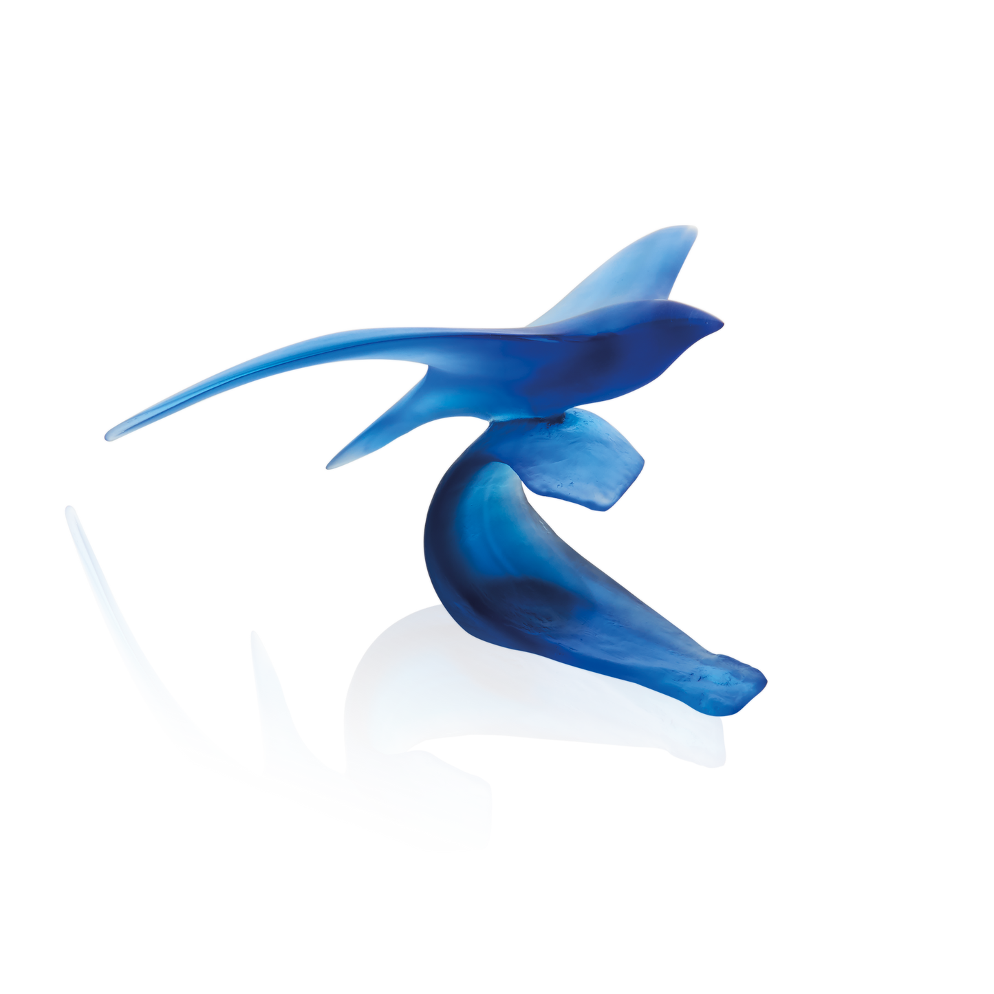 Oiseau Marin de Xavier Carnoy 375ex - Daum