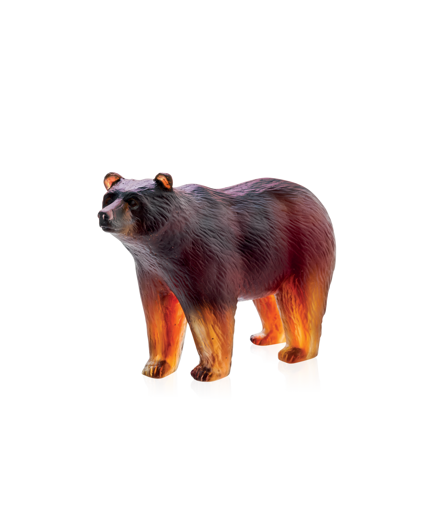 Ours - Daum