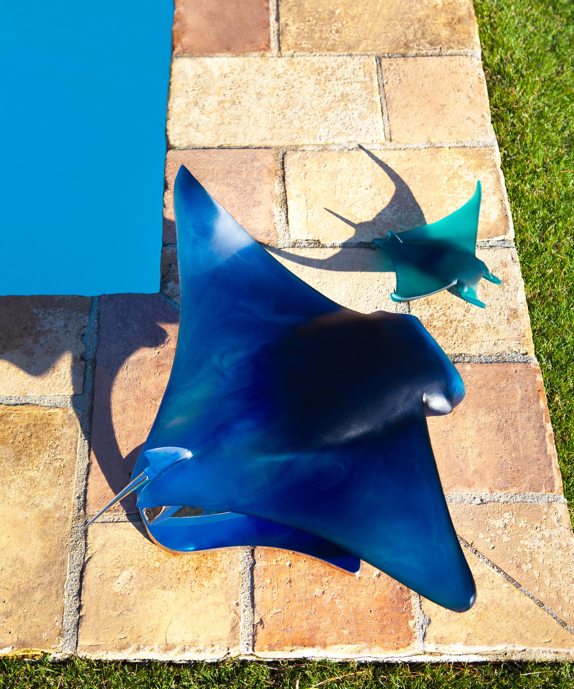 Raie Manta petit modèle de Umberto Nuzzo en verre Daum, sculpture artistique avec détails élégants et finitions raffinées.