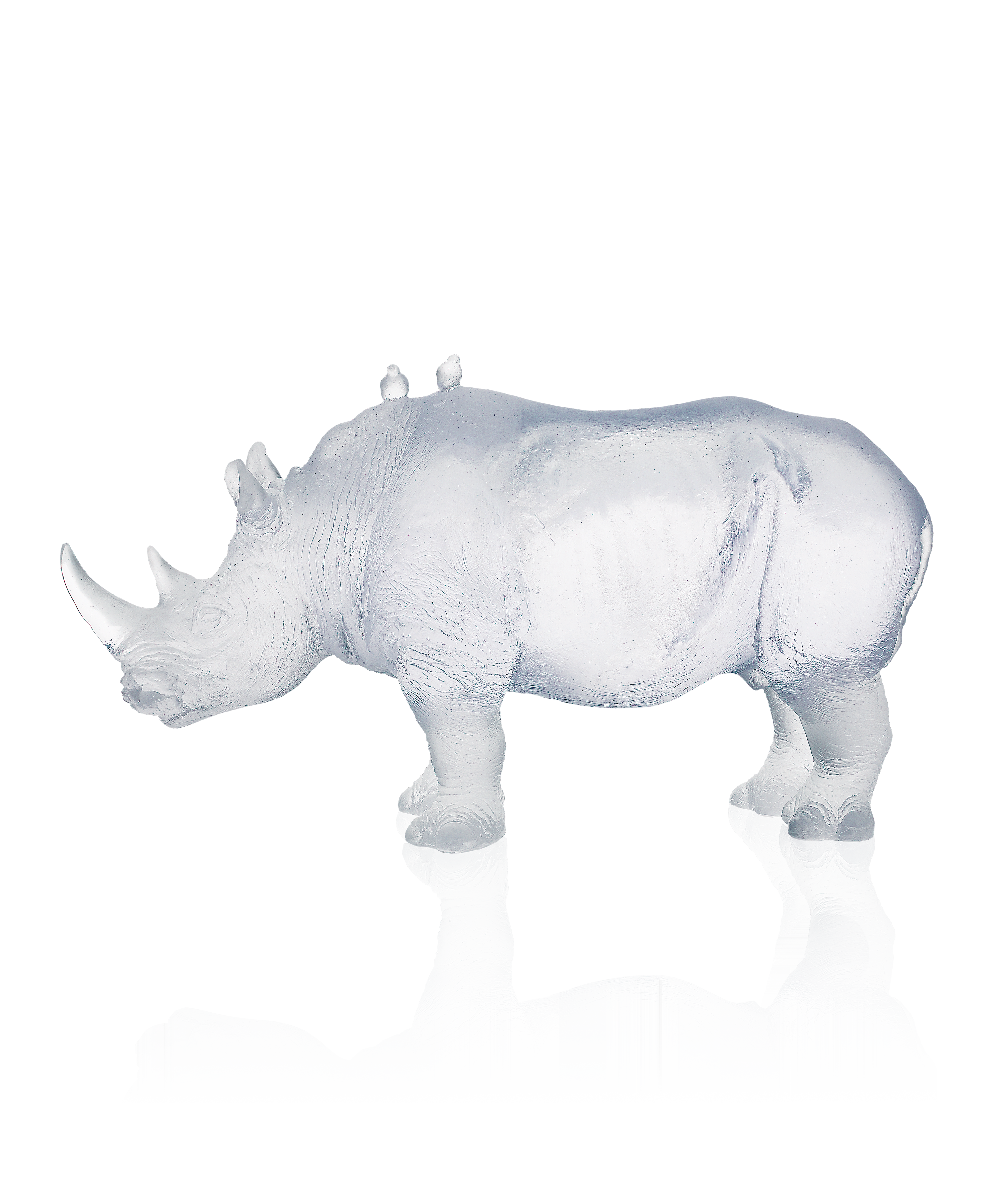 Rhinocéros Blanc de Jean-François Leroy 1000ex - Daum