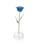 Rose Eternelle Bleu