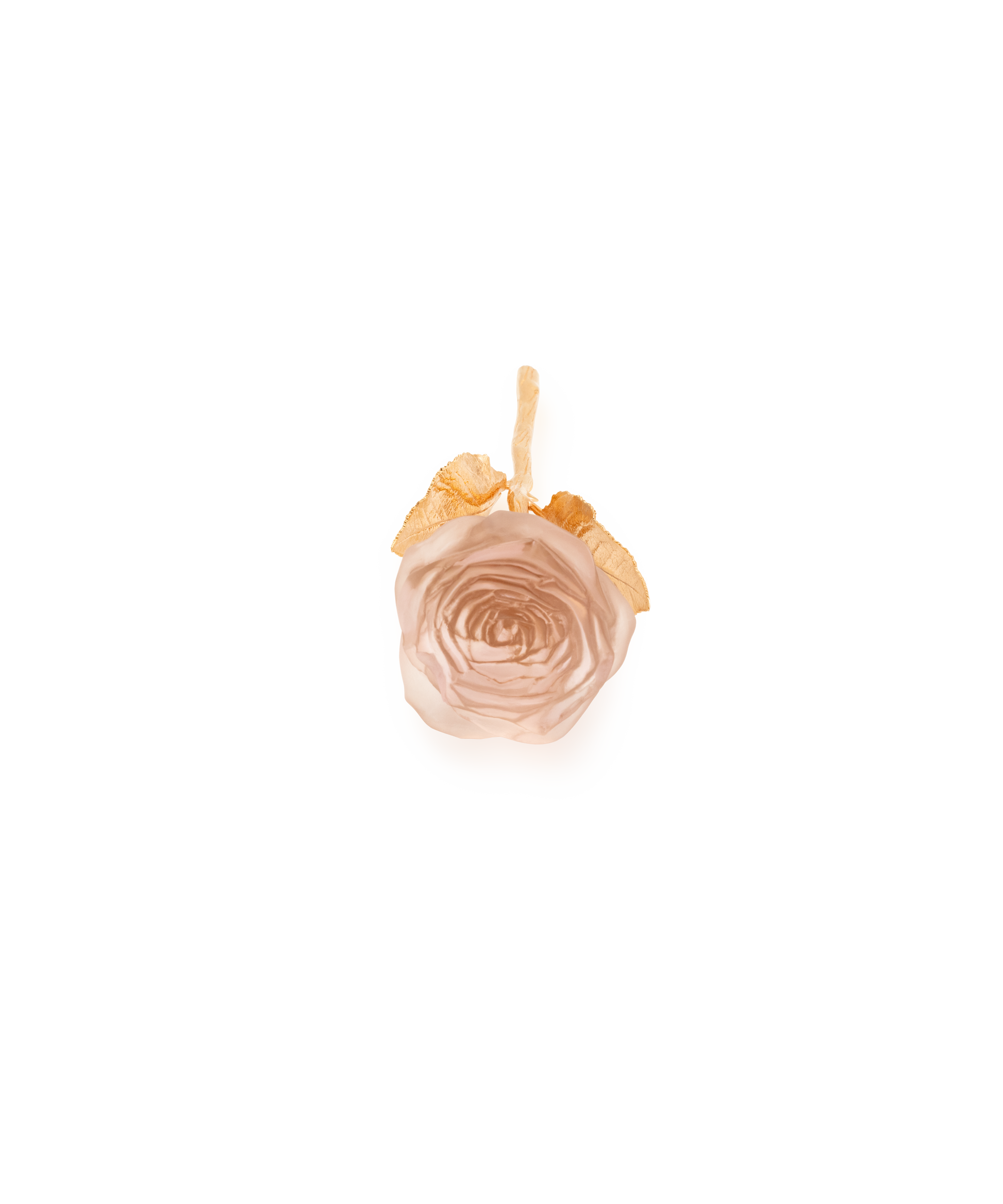Rose poudrée Rose Eternelle de la marque Daum, sculpture en verre délicate avec finition mate.