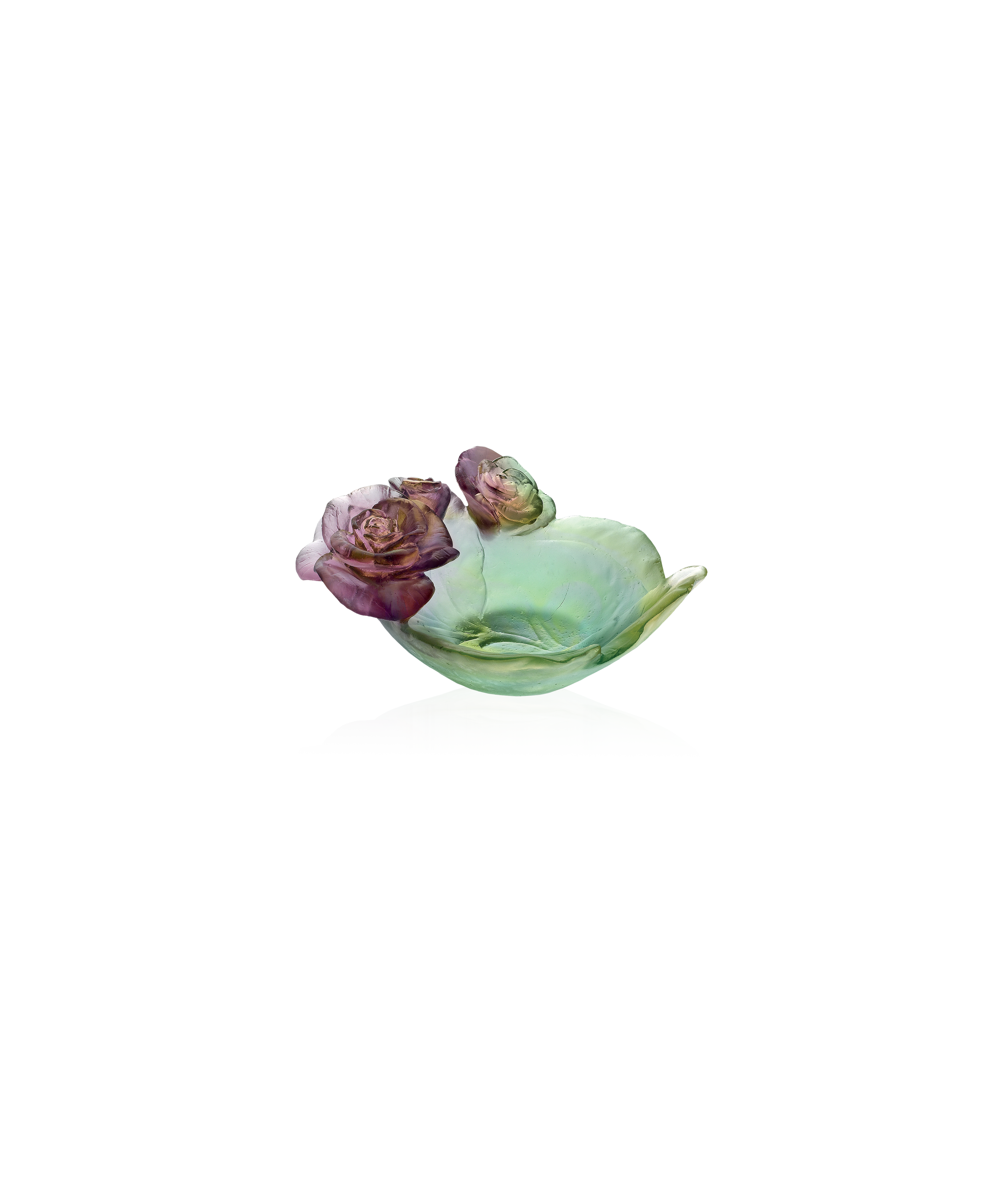 daum-default-title-rose-