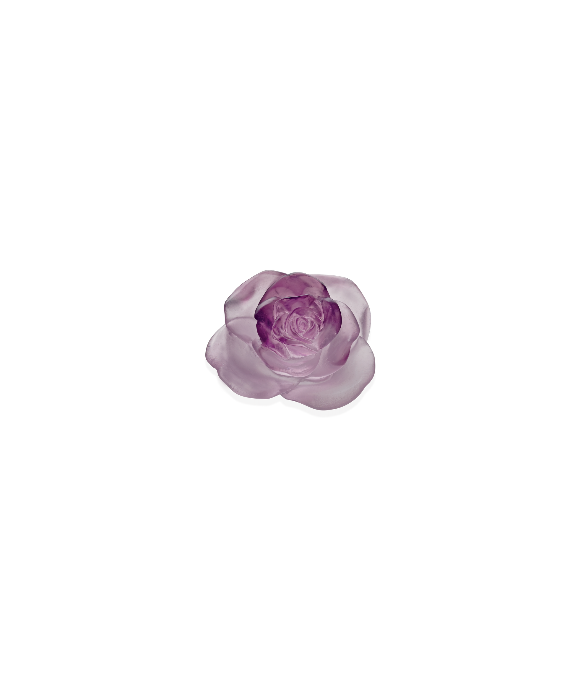 Rose Passion Fleur décorative Rose - Daum