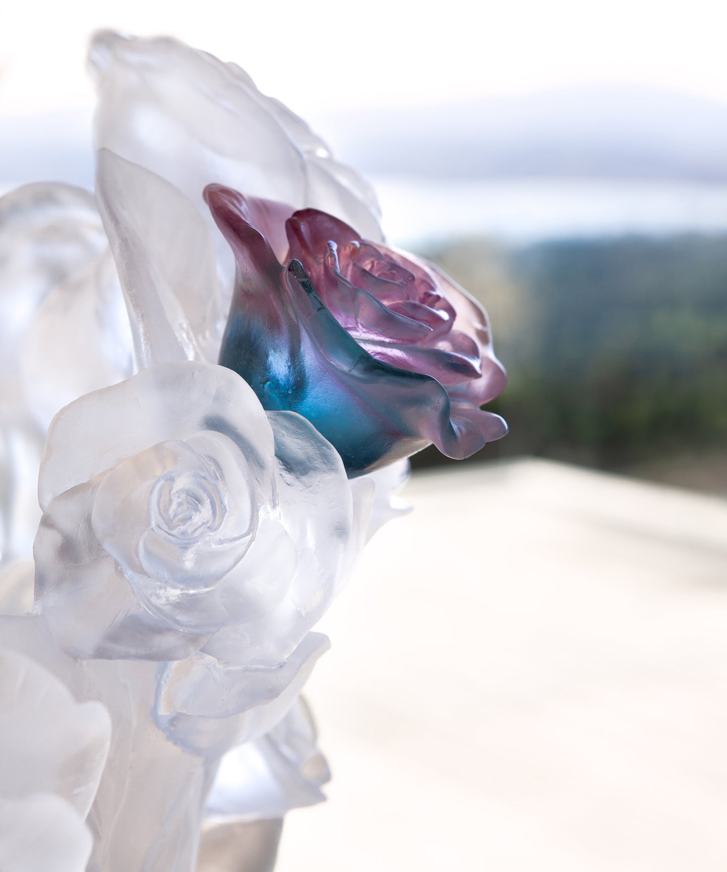 Rose Passion Vase magnum Blanc, fleur verte et rose 50ex - Daum