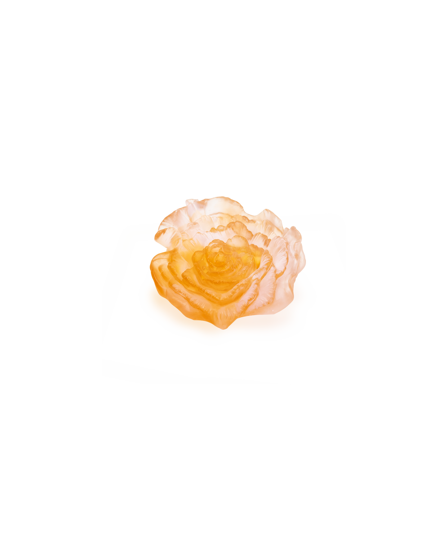 Fleur décorative Rose Royale de la marque Daum, en verre élégant avec détails fins et finition raffinée.