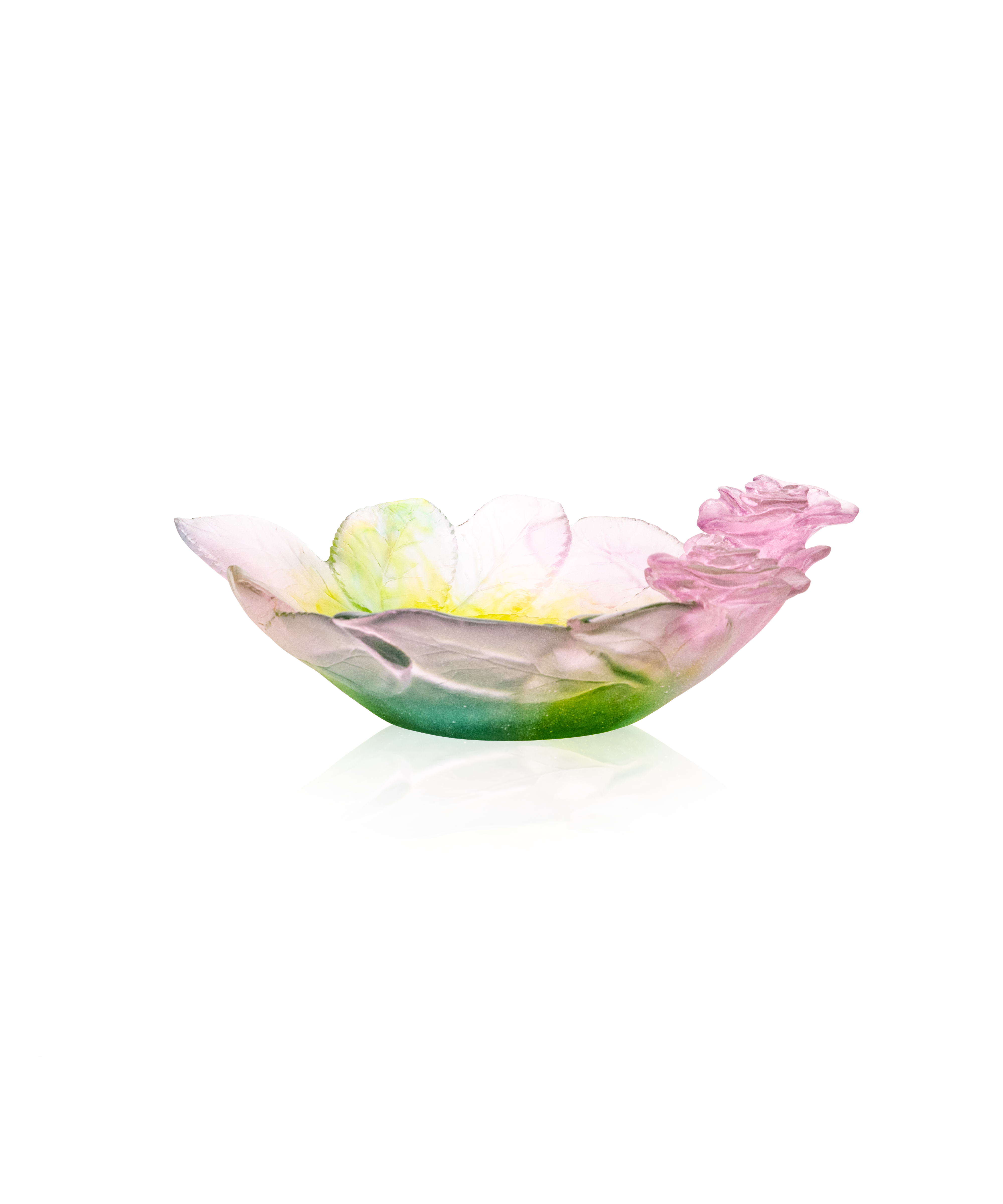 Roses – Collection élégante de fleurs fraîches | Daum