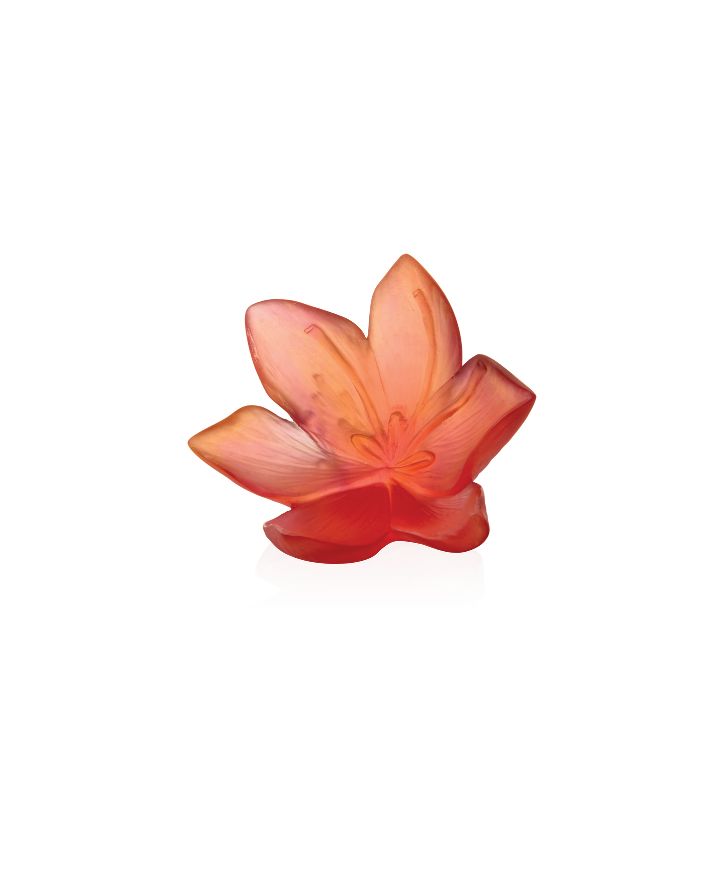 Fleur décorative grande modèle Safran de la marque Daum, pièce artistique en verre coloré avec détails élégants.