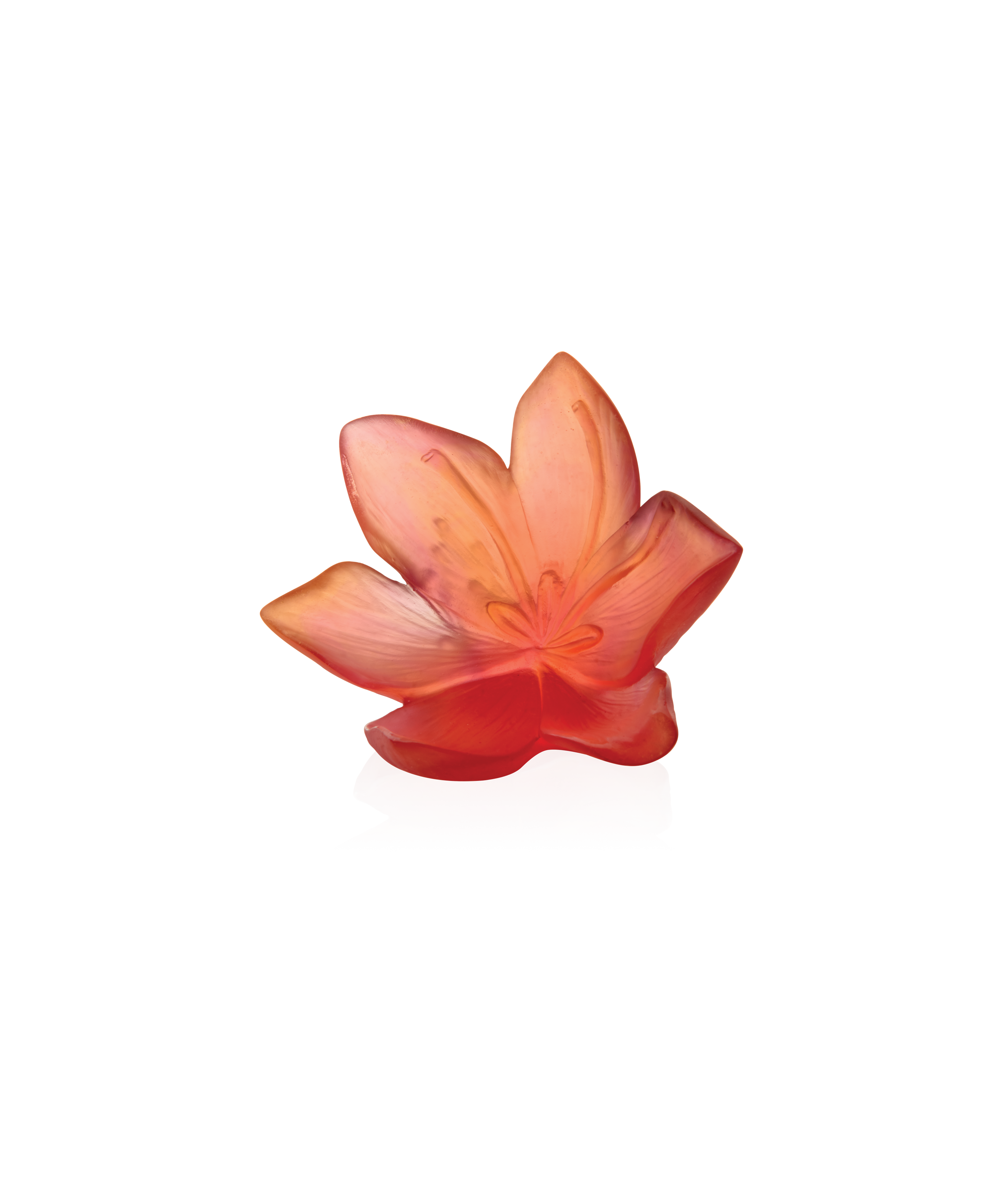 Safran Fleur décorative grand modèle - Daum