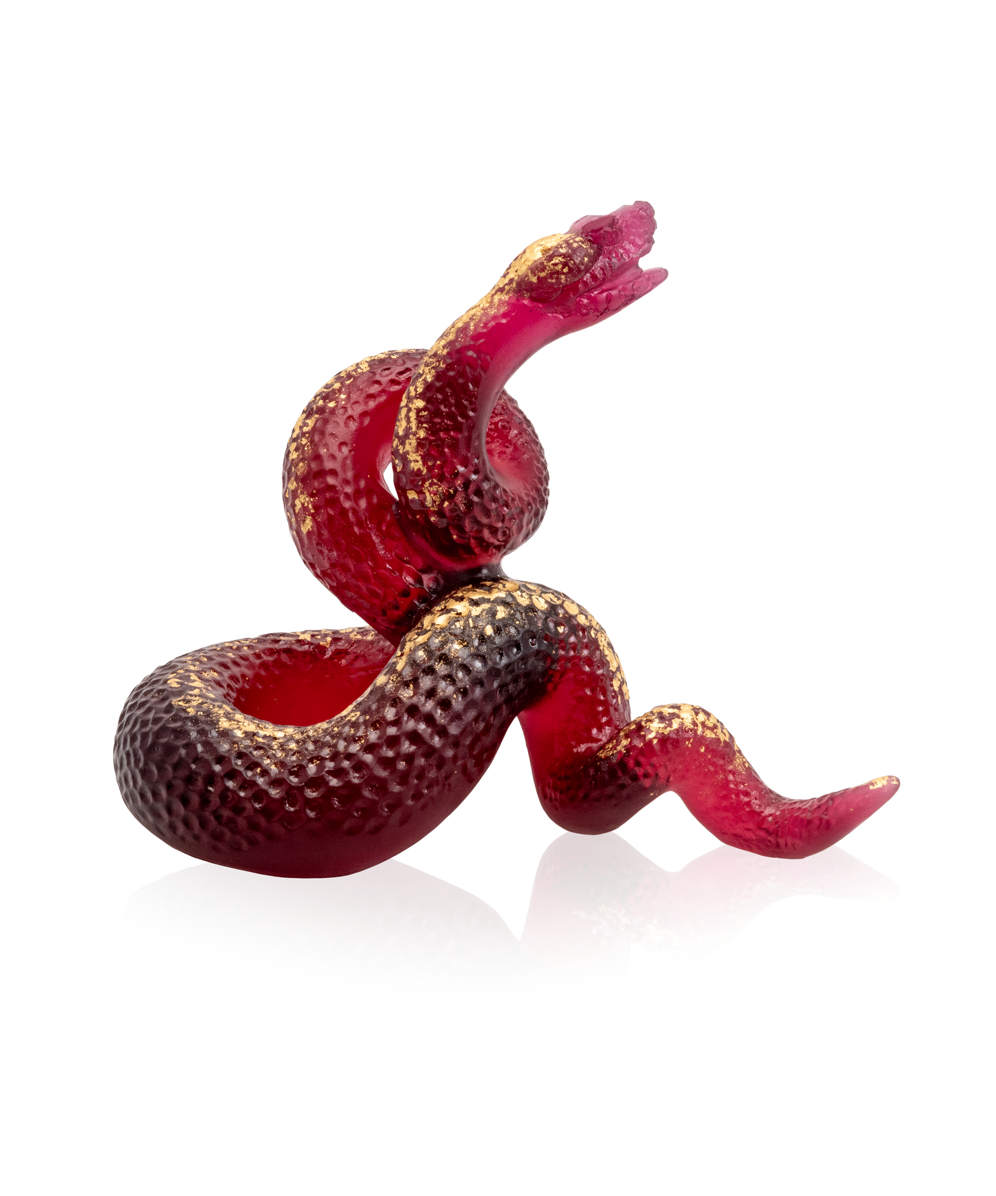 Serpent rouge en verre avec finition or de la marque Daum, sculpture artistique en détail, sur fond blanc.
