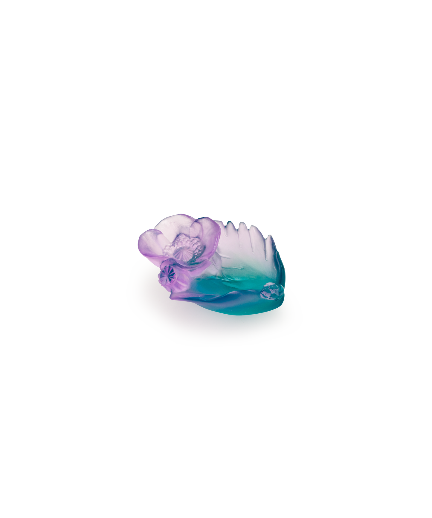 Mini-coupelle Sweet Garden de Daum, en verre coloré avec motif floral délicat, pour décoration ou usage.