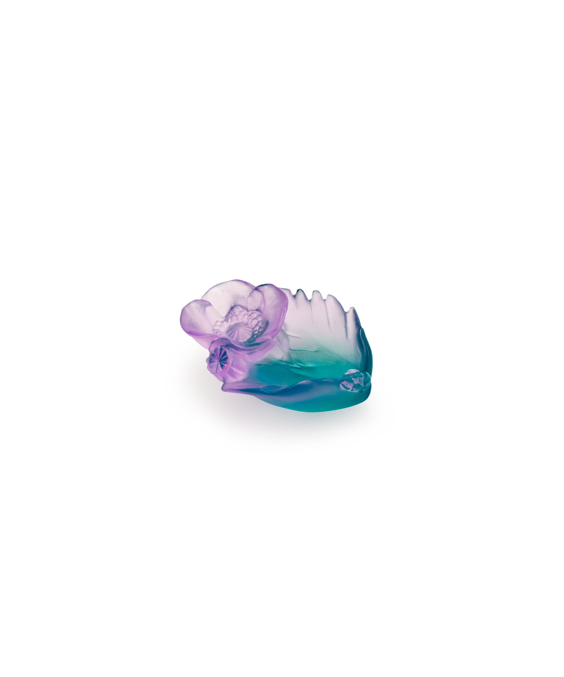 Mini-coupelle Sweet Garden de Daum, en verre coloré avec motif floral délicat, pour décoration ou usage.