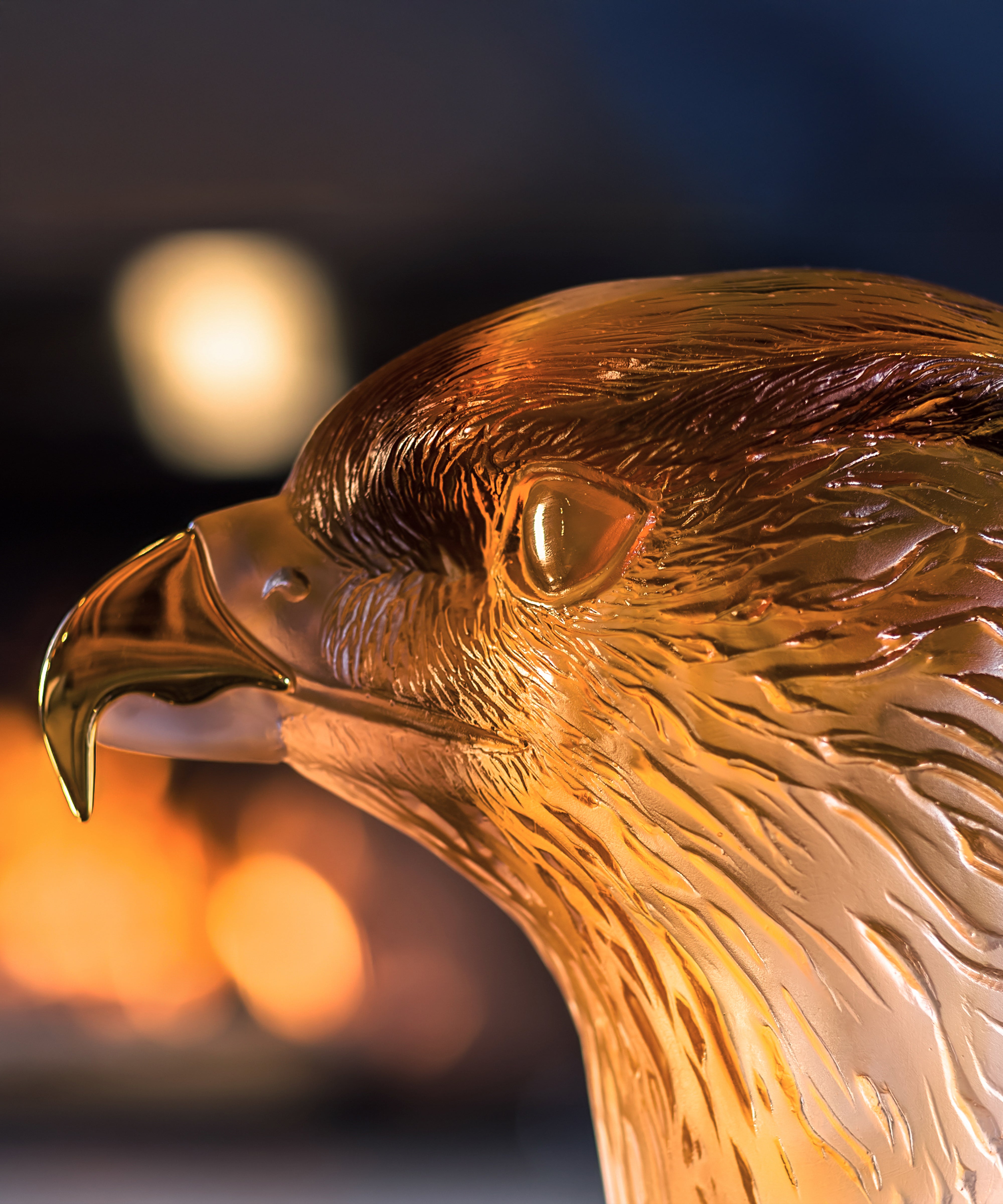 Tête de Faucon de Madeleine Van der Knoop 375ex - Daum