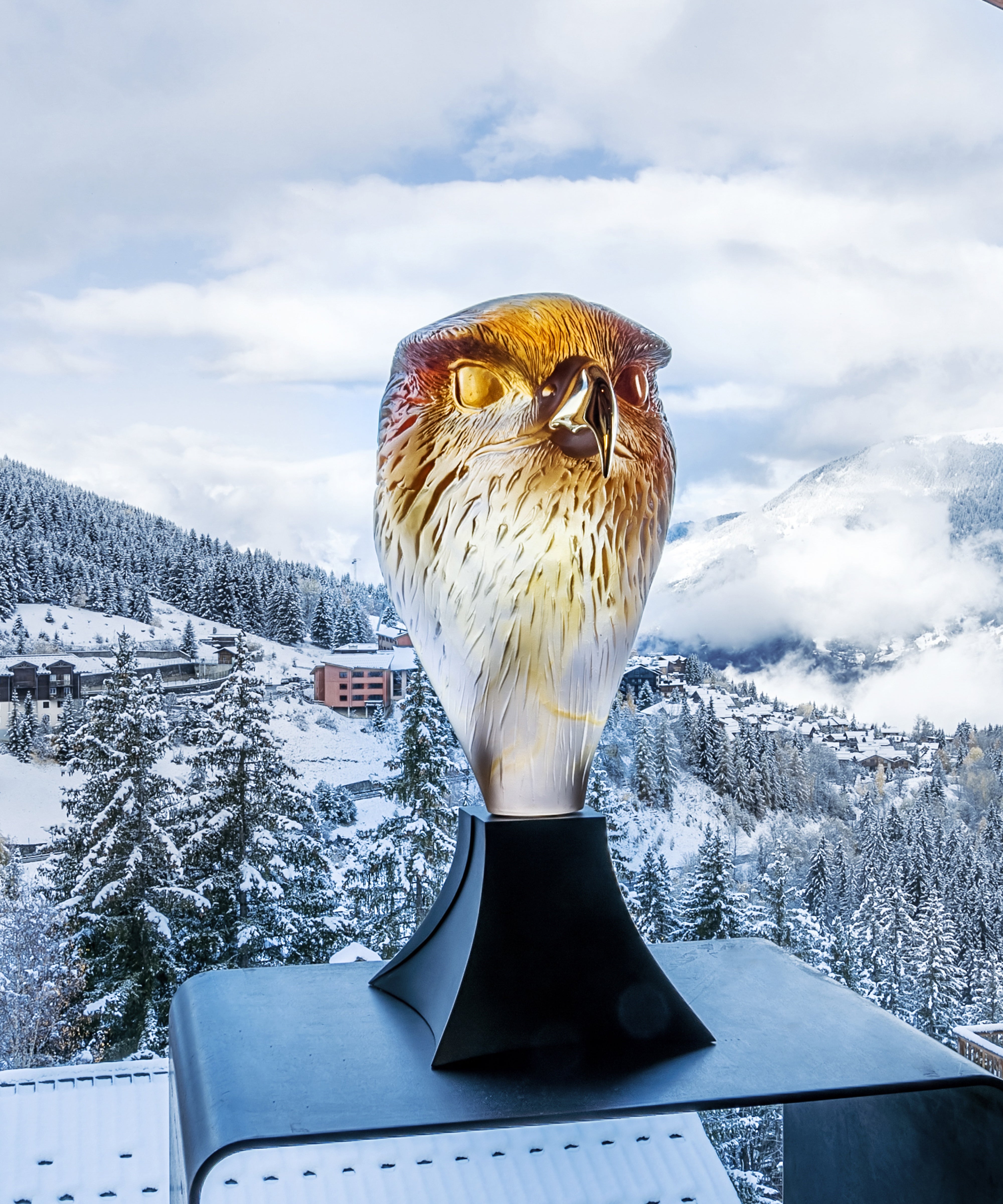 Tête de Faucon de Madeleine Van der Knoop 375ex - Daum