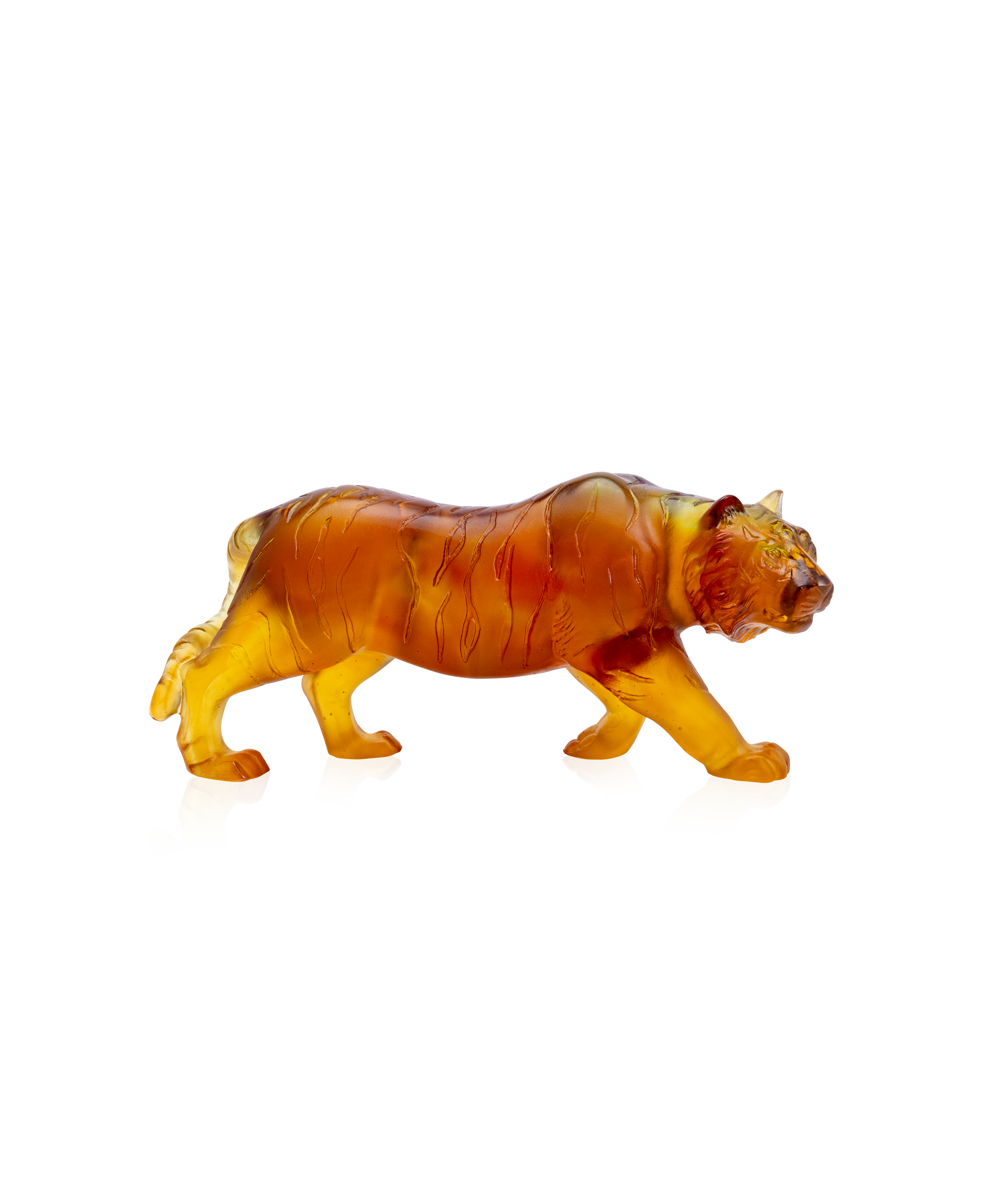 Tigre - Daum