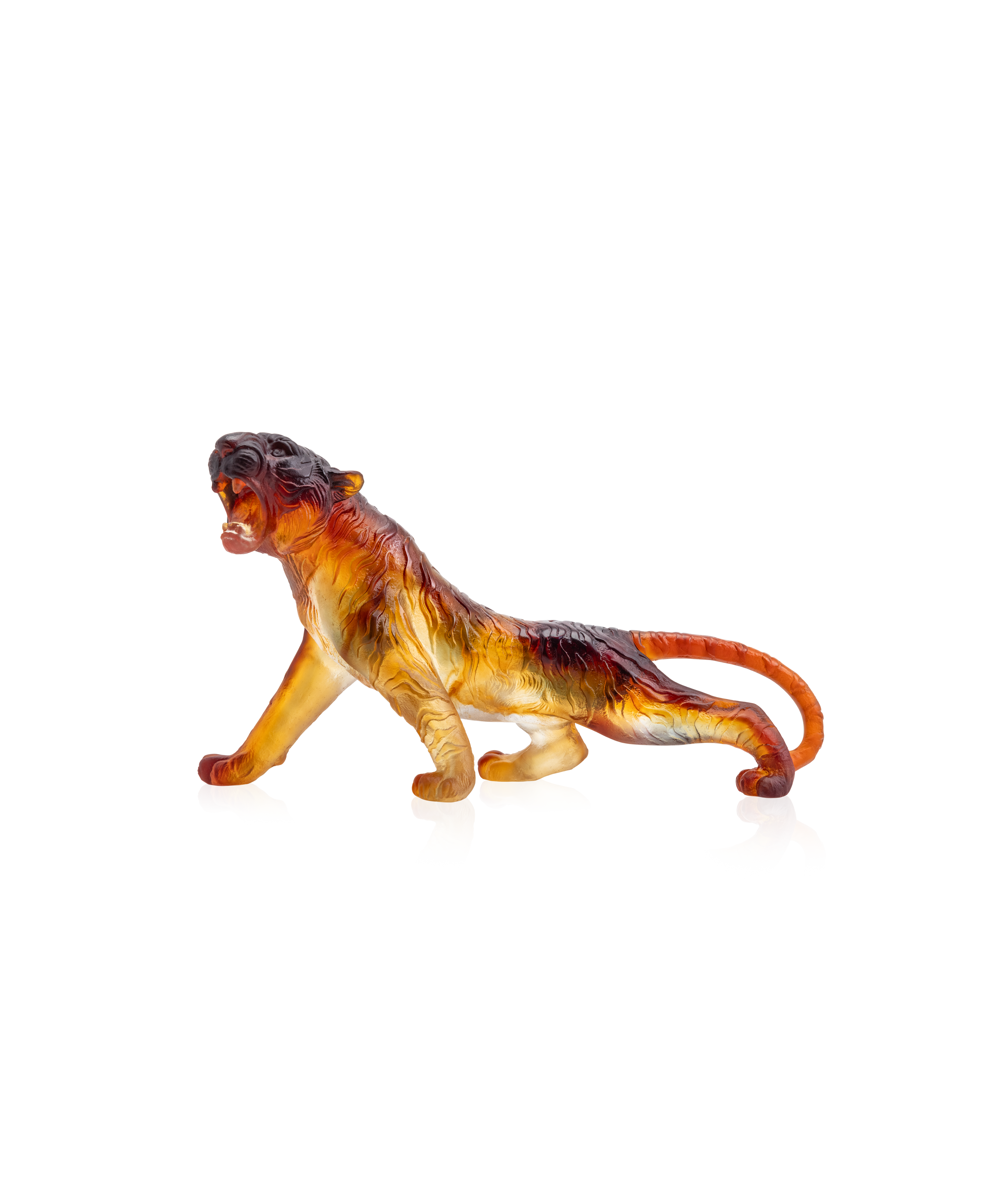 Tigre du Bengale - Daum