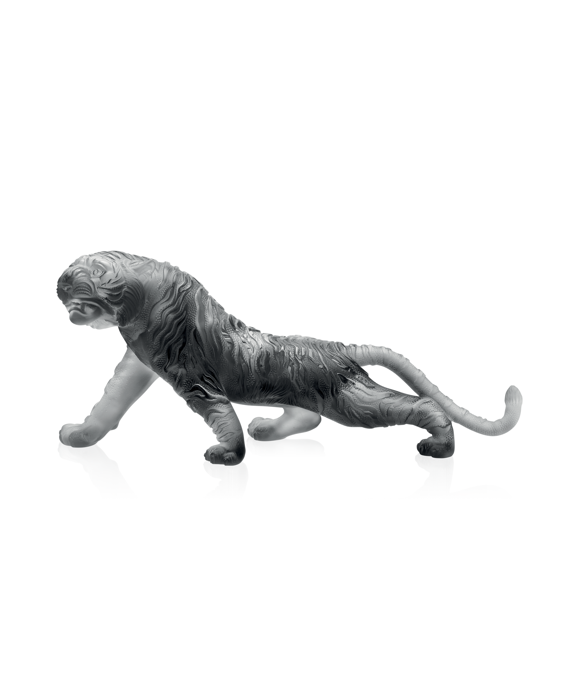 Tigre du Bengale Magnum Gris de Daum, sculpture en verre artistique avec détails réalistes, vue de face.