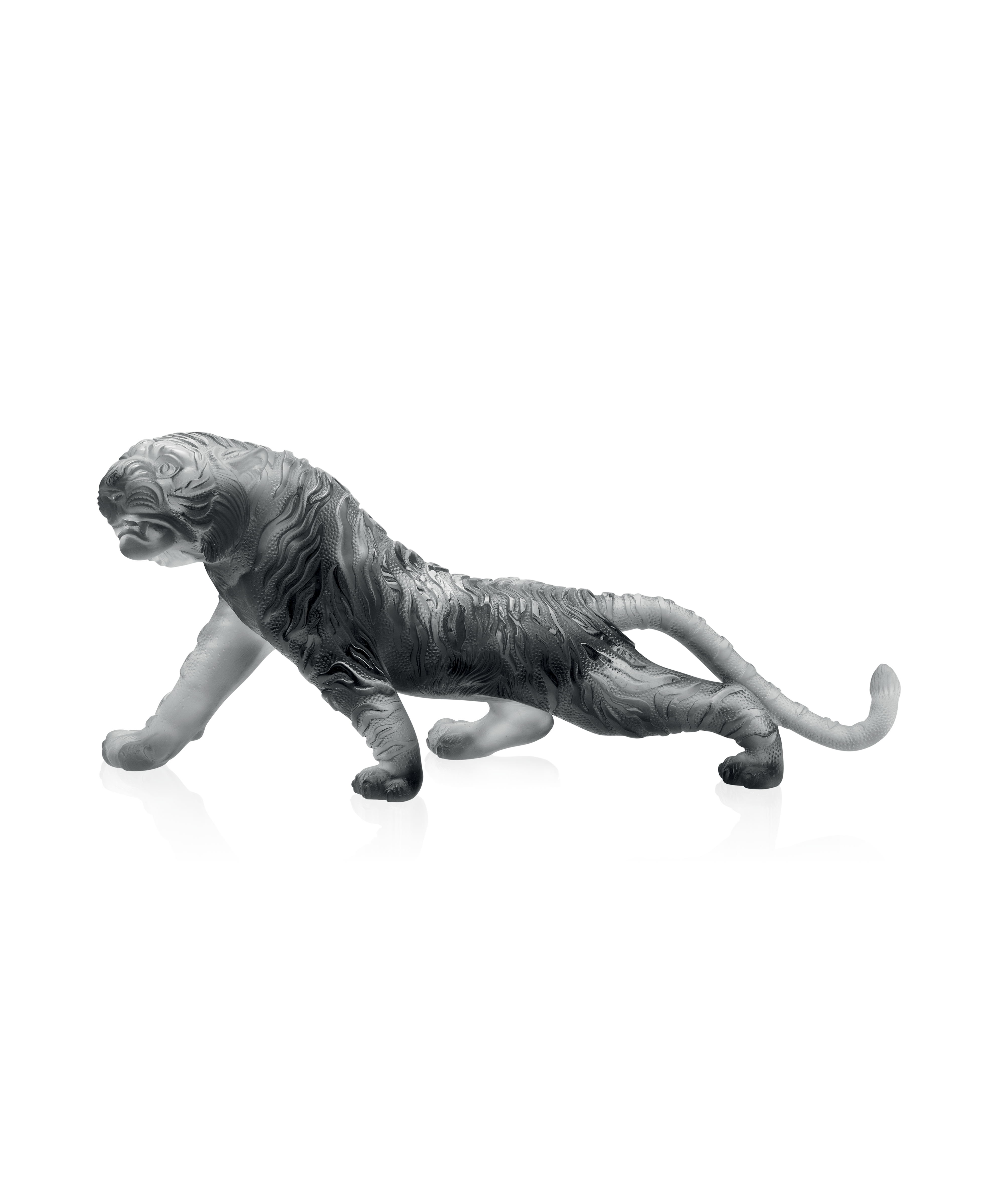 Tigre du Bengale magnum Gris 88ex - Daum