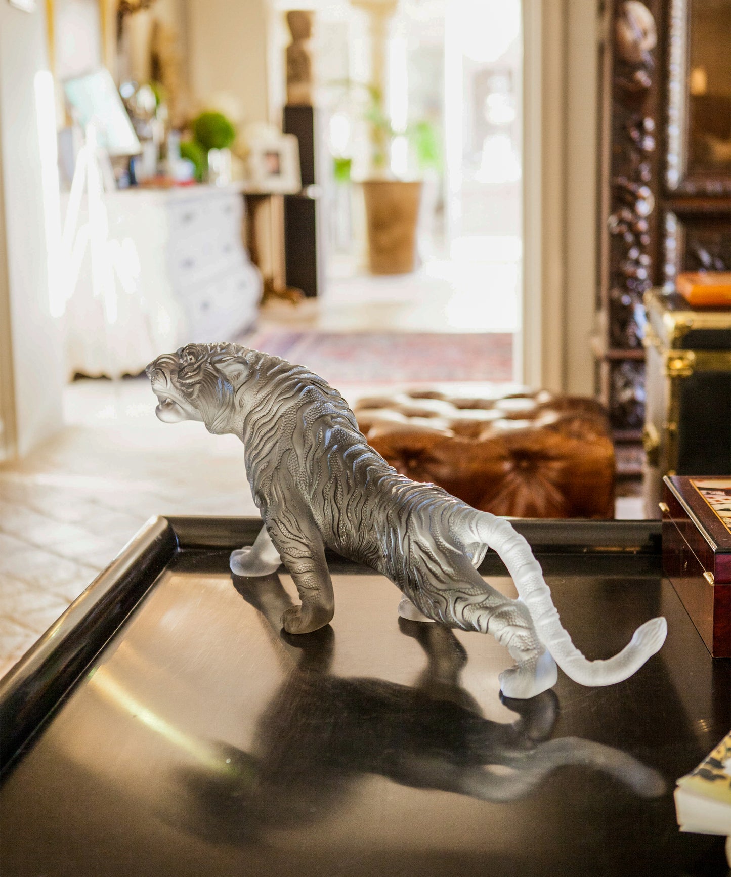 Tigre du Bengale magnum gris Daum, sculpture en verre, détail du visage et rayures du tigre.
