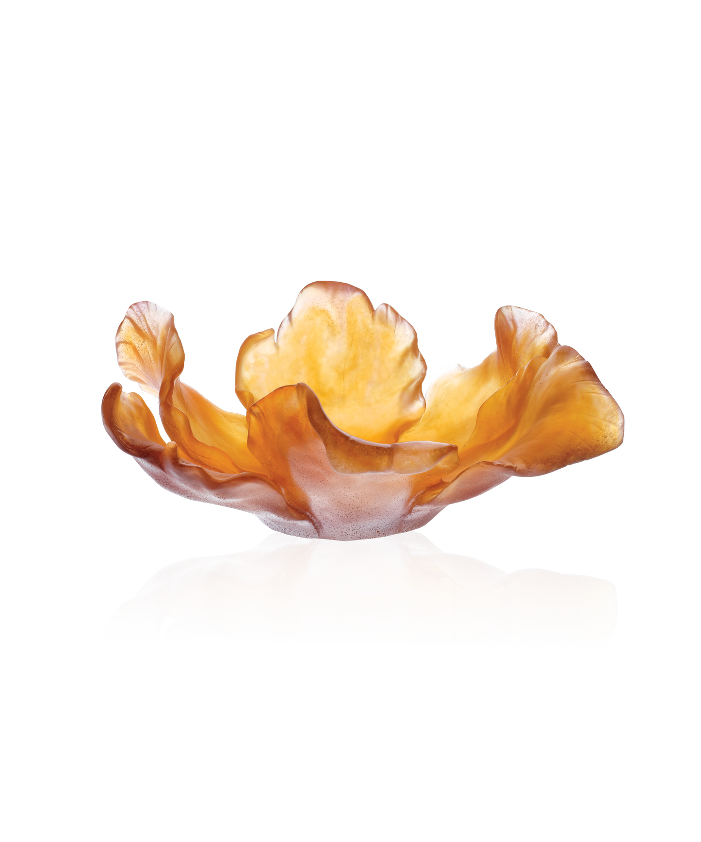 Vase Tulipe Coupe Ambre en verre de la marque Daum, avec finition élégante et design en forme de tulipe.