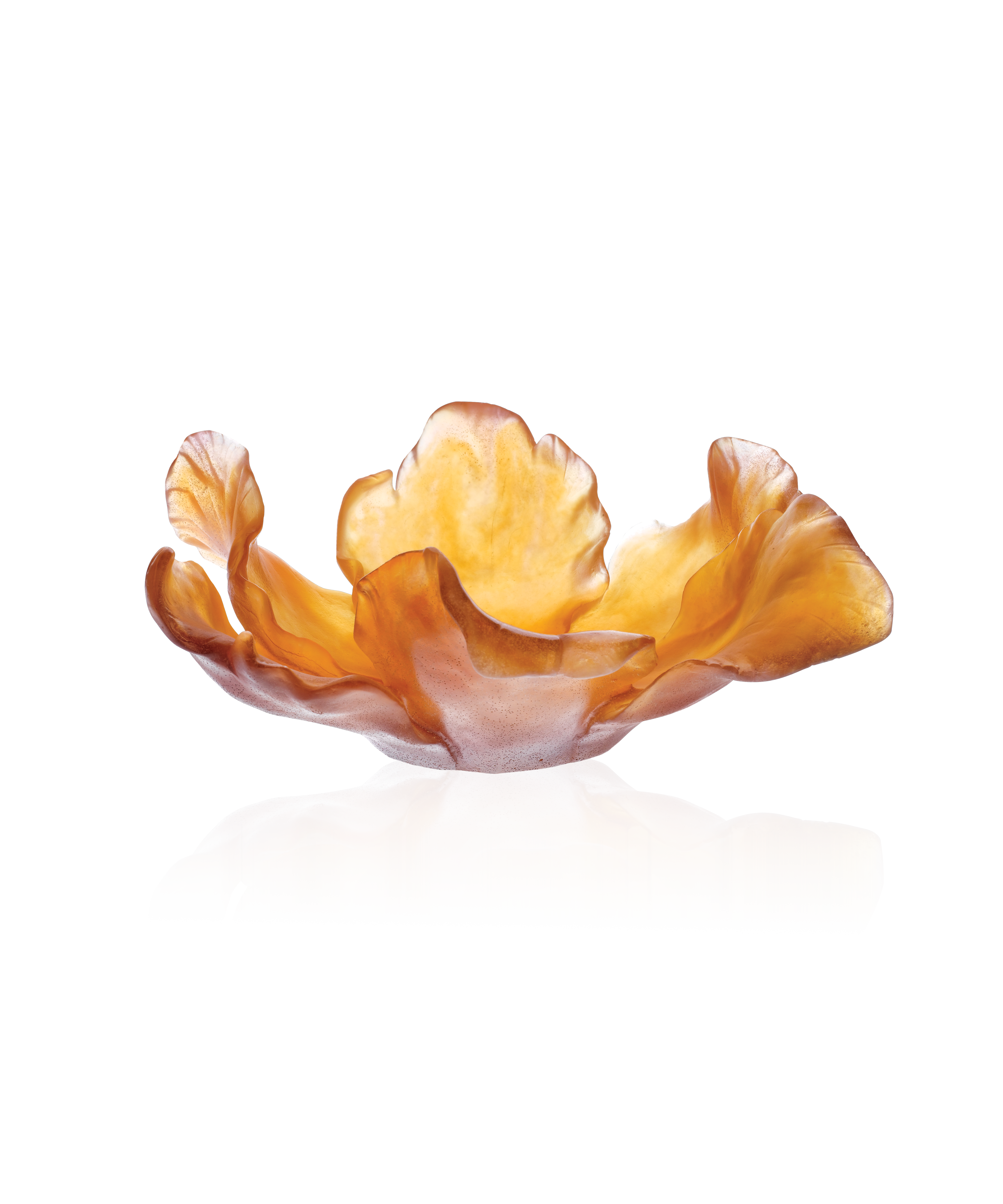 Tulipe Coupe Ambre - Daum