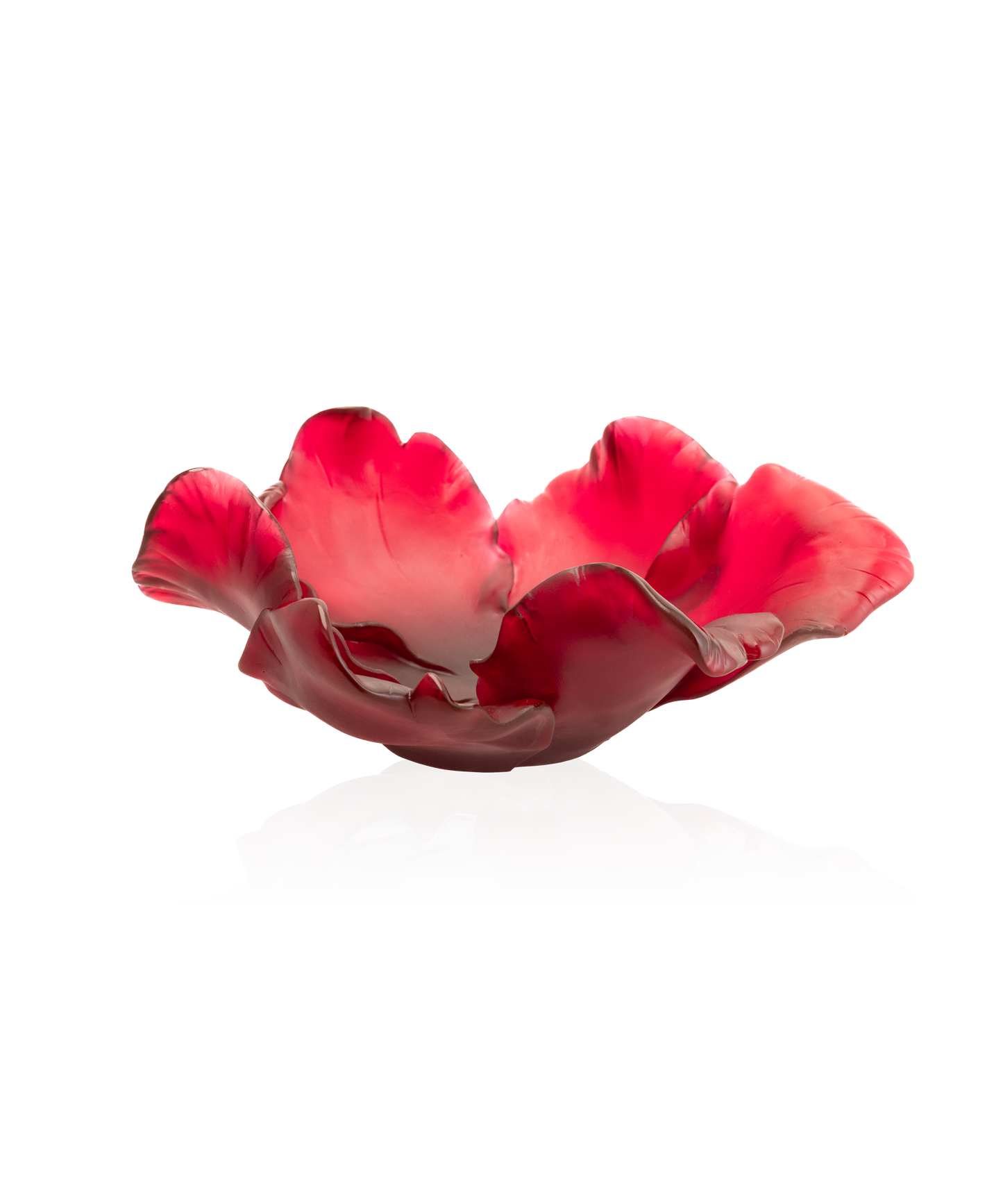 Vase tulipe en coupe rouge de la marque Daum, en verre soufflé avec finition brillante.