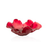 Vase tulipe en coupe rouge de la marque Daum, en verre soufflé avec finition brillante.