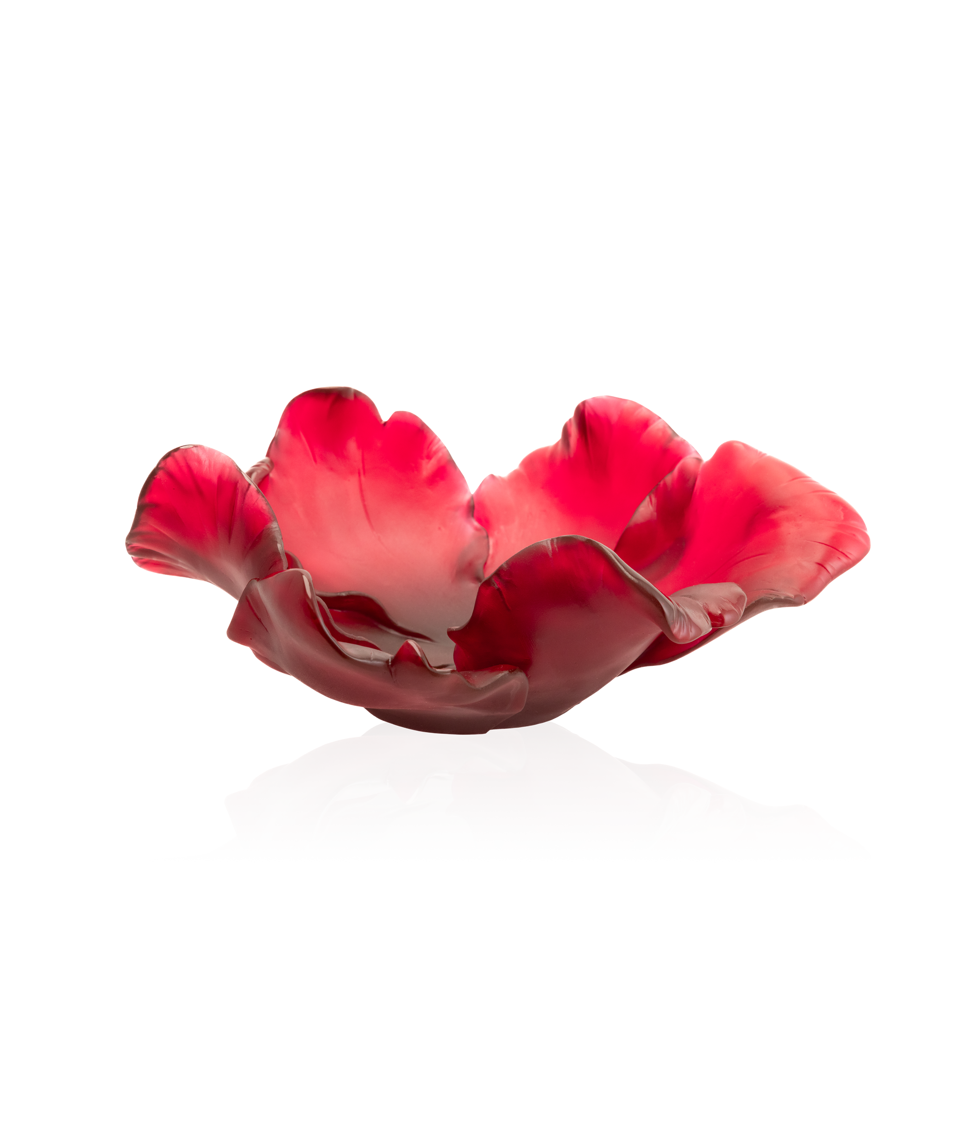 Vase tulipe en coupe rouge de la marque Daum, en verre soufflé avec finition brillante.
