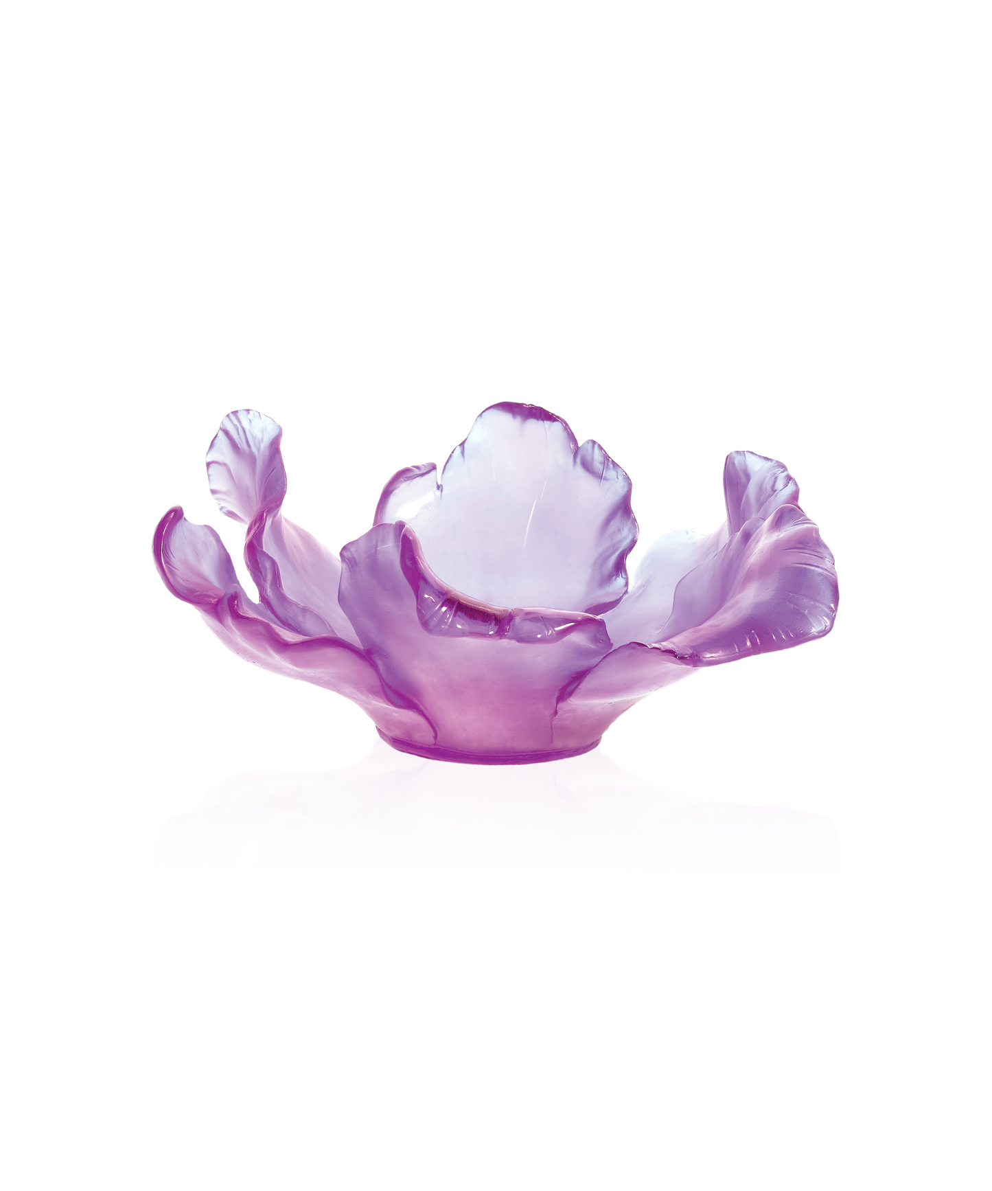 Tulipe en coupe Ultraviolet en verre Daum, design élégant avec finition vibrante et translucide.