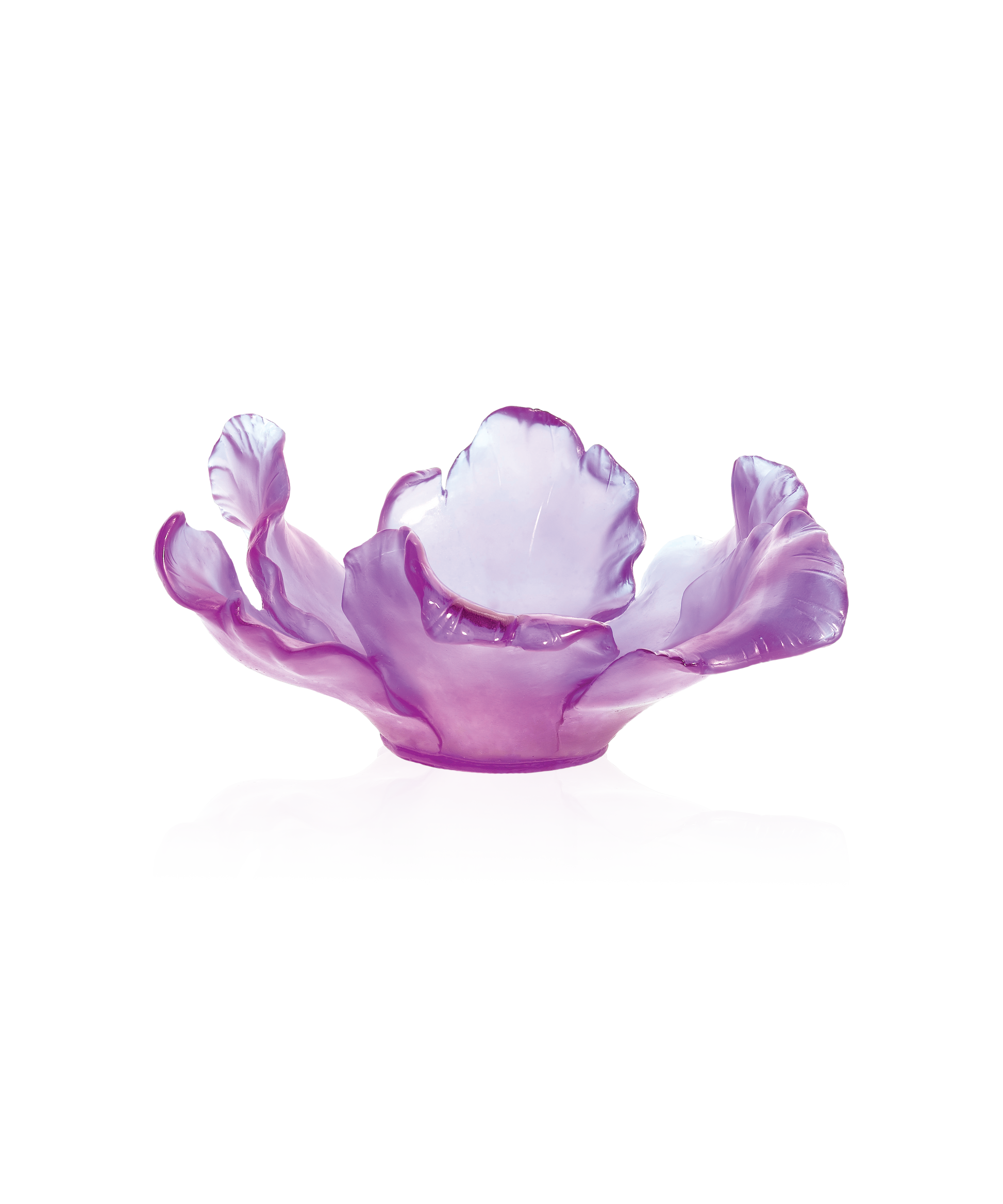 Tulipe en coupe Ultraviolet en verre Daum, design élégant avec finition vibrante et translucide.