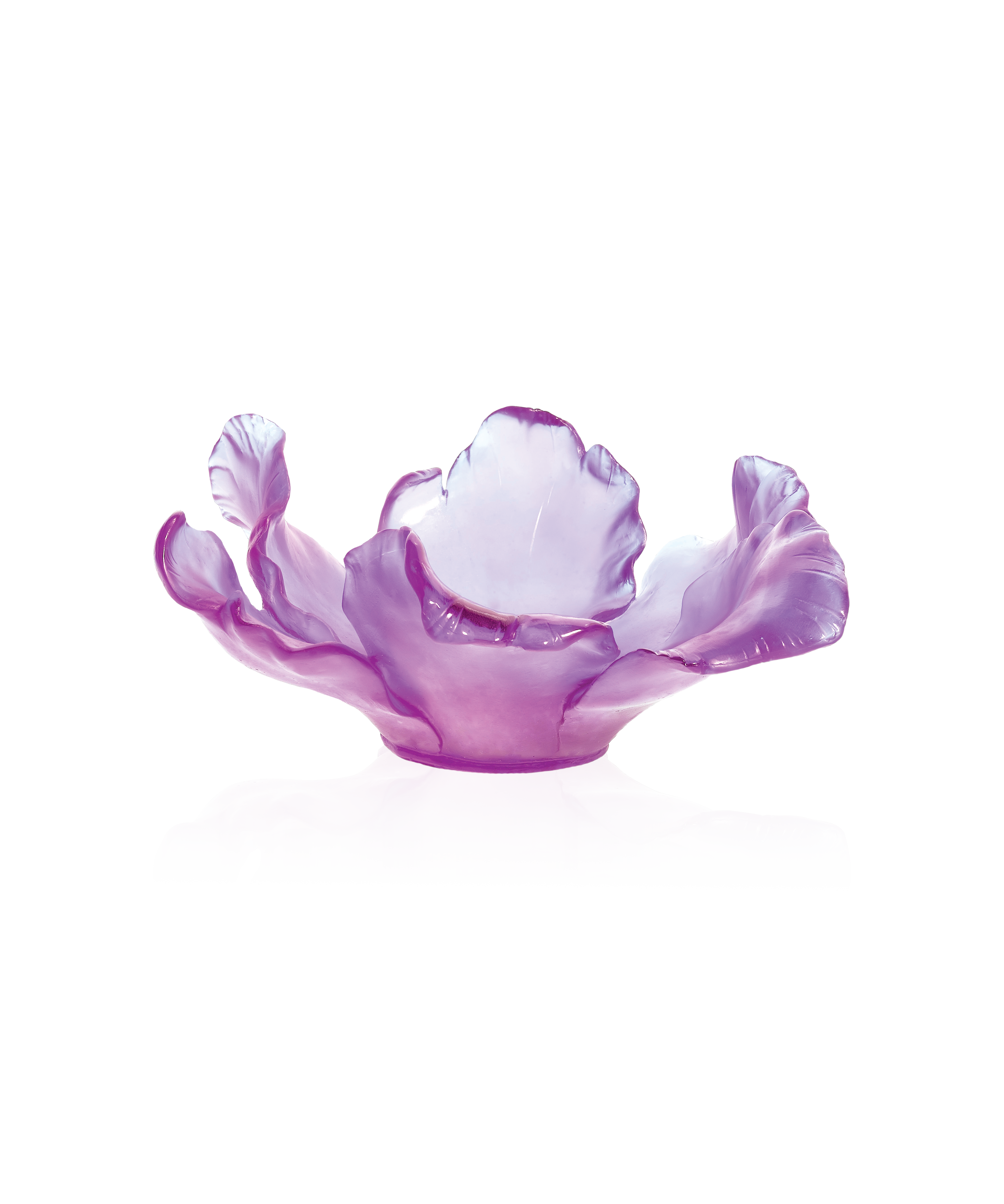 Tulipe Coupe Ultraviolet - Daum