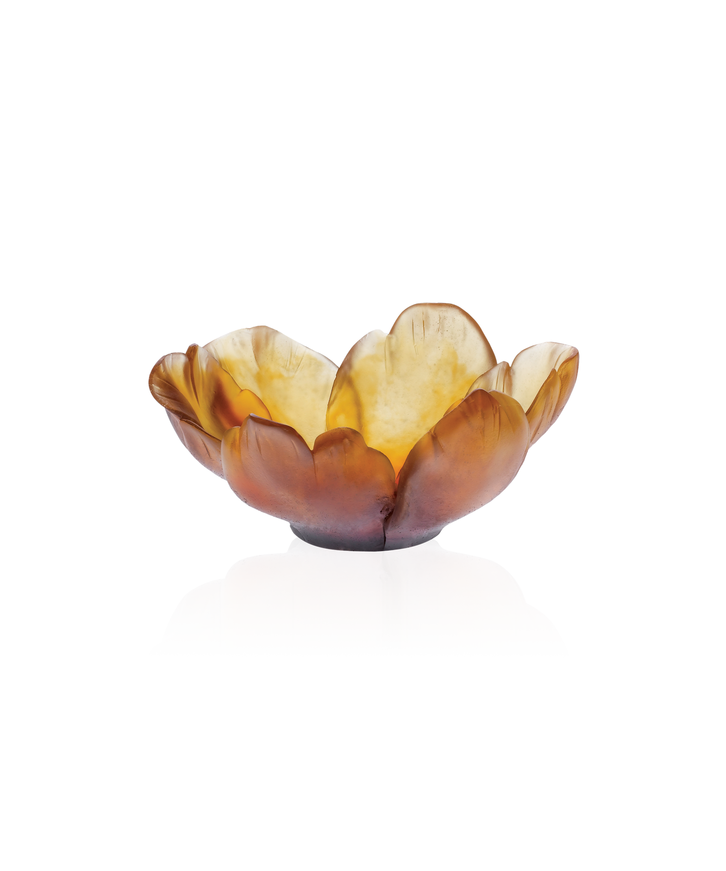 Tulipe en verre ambré de la marque Daum, forme de coupelle élégante avec finition brillante, vue de face.