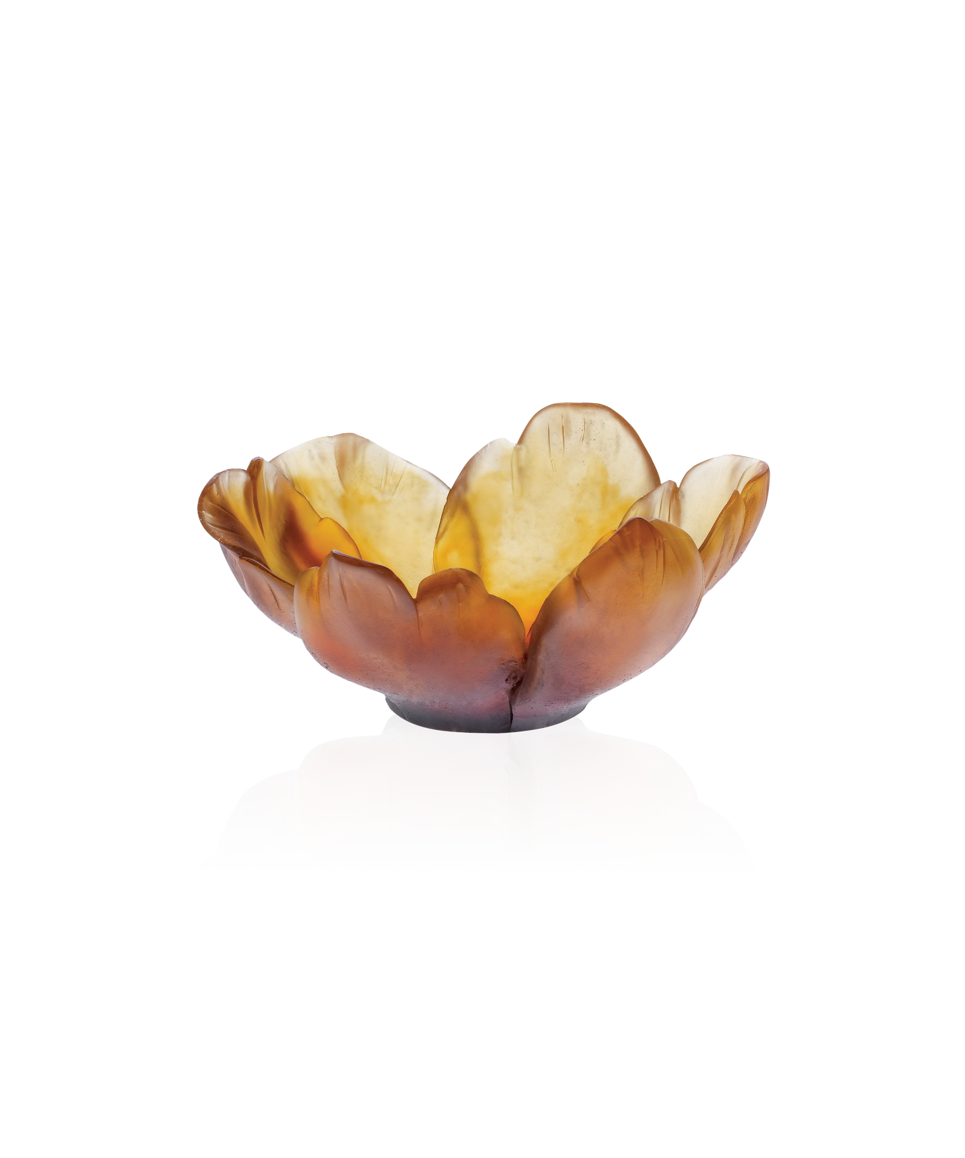 Tulipe en verre ambré de la marque Daum, forme de coupelle élégante avec finition brillante, vue de face.
