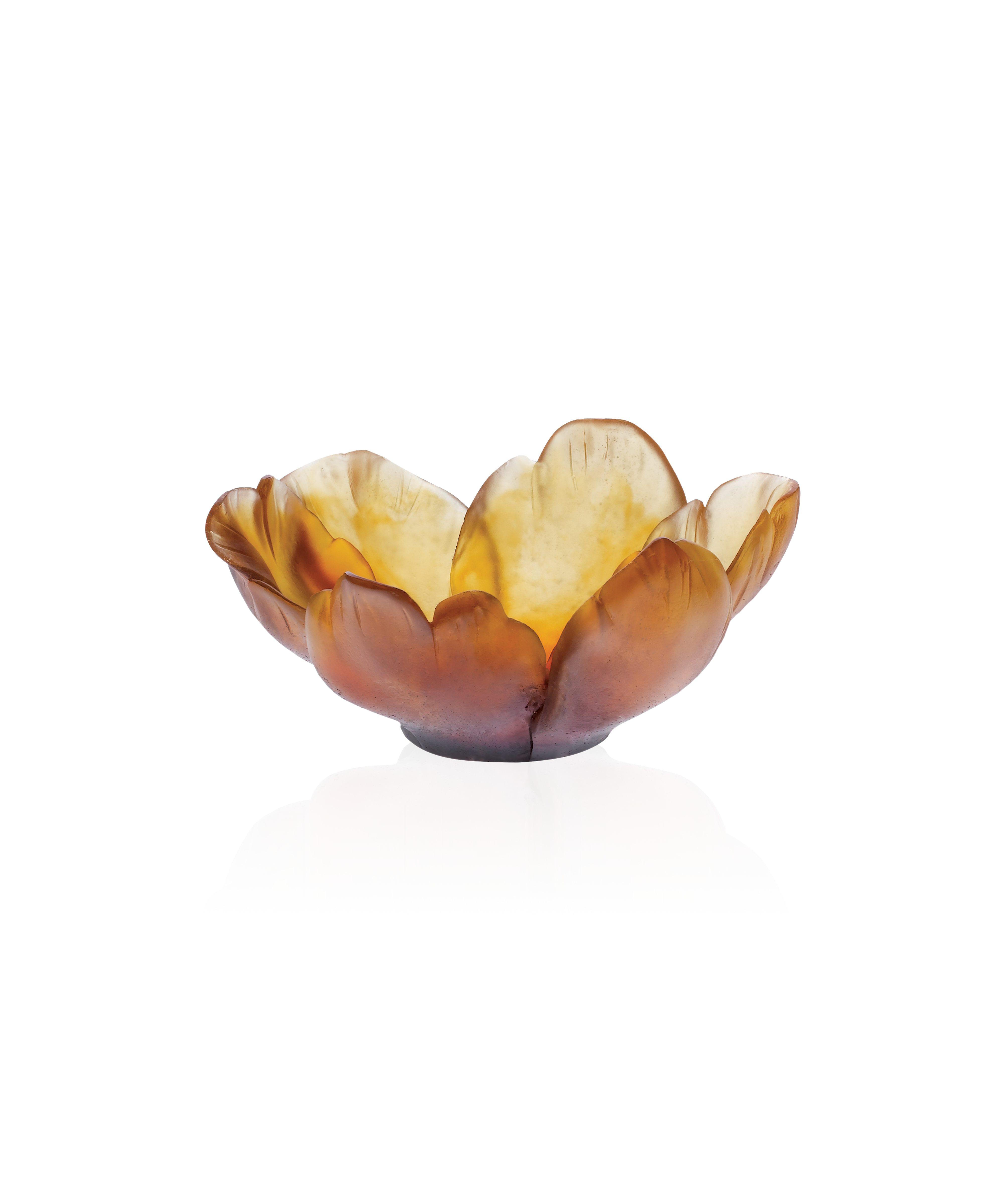 Tulipe Coupelle Ambre - Daum