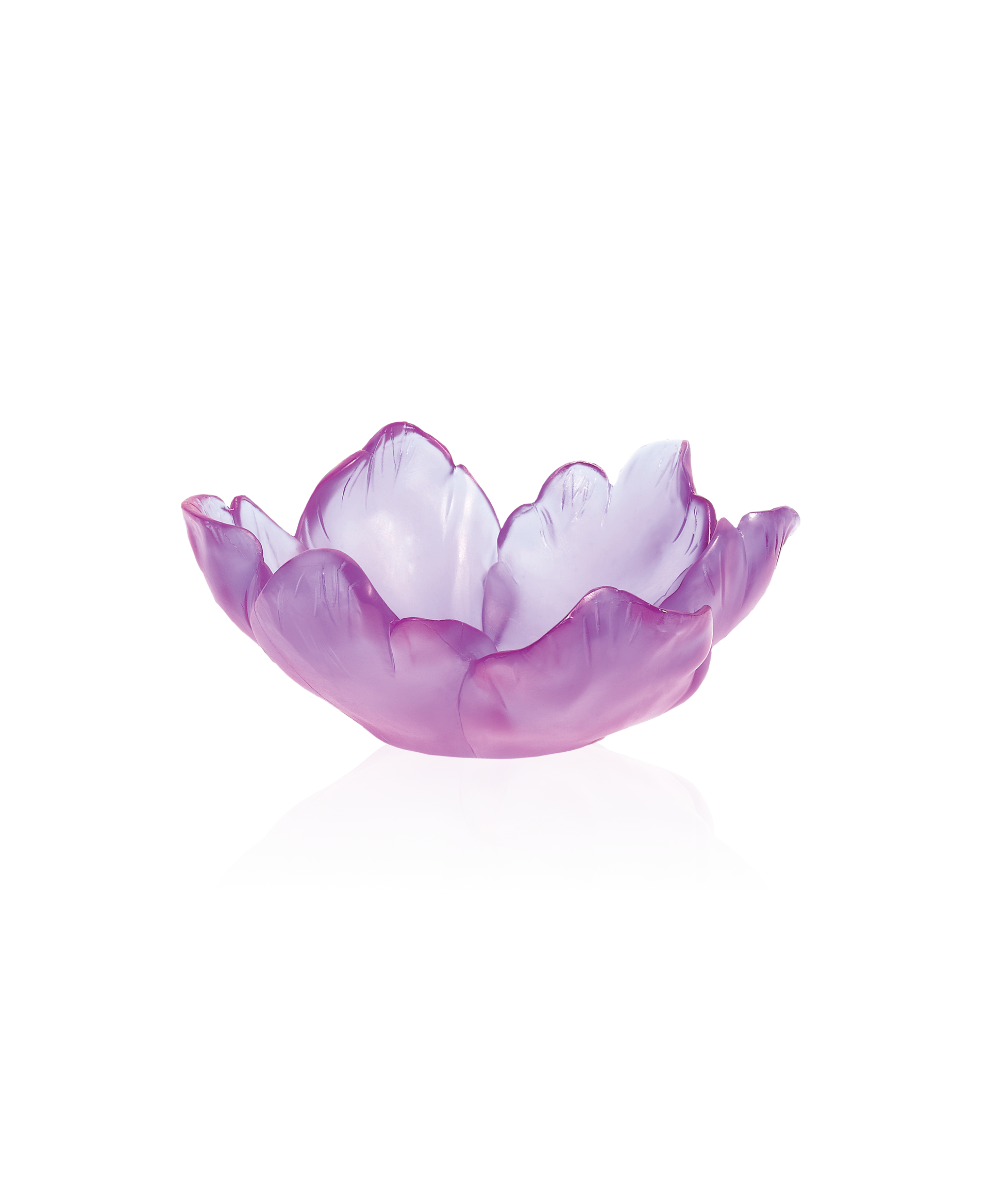 Tulipe en coupelle en verre violet ultraviolette de la marque Daum, design élégant et translucide.