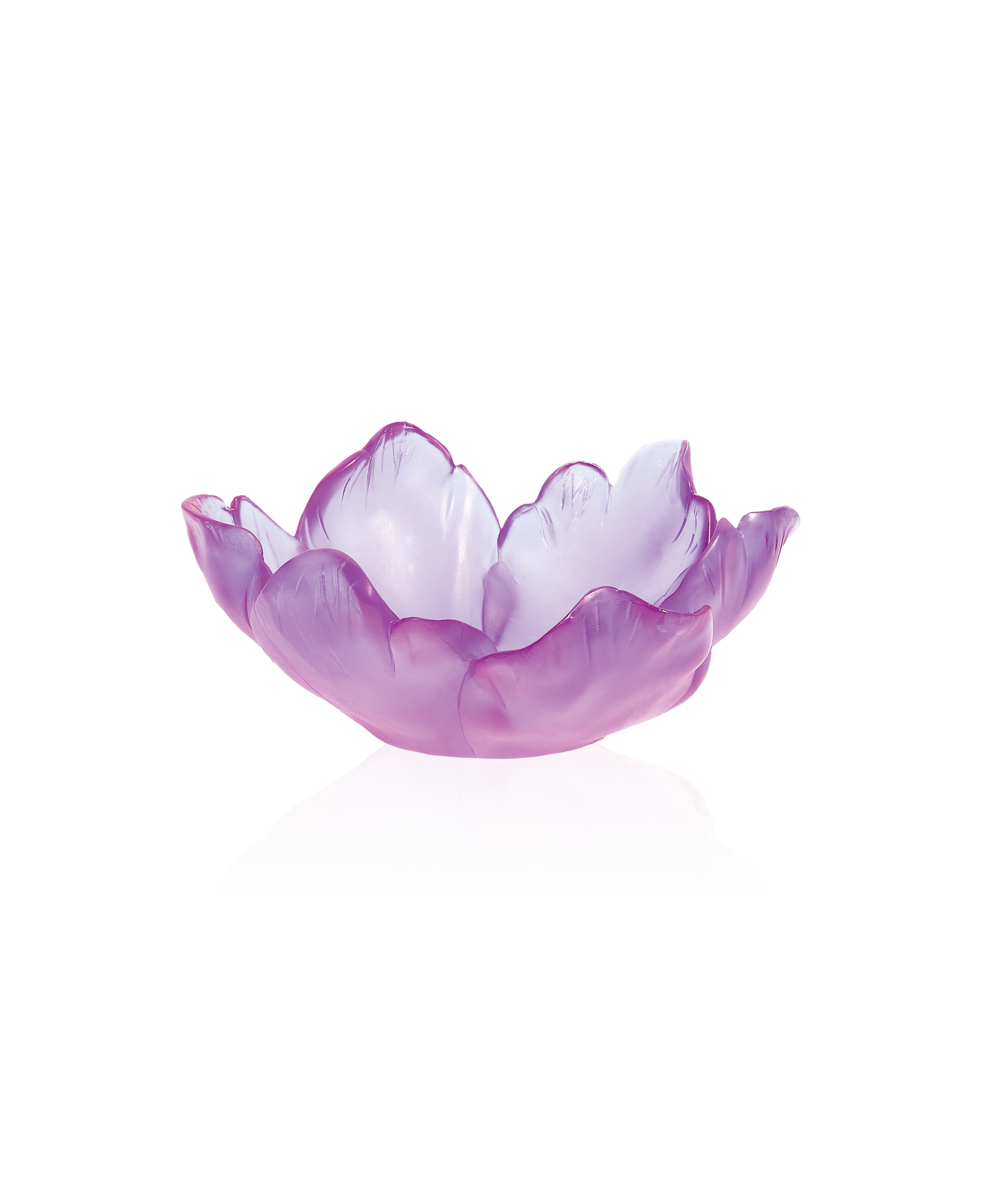 Tulipe Coupelle Ultraviolet - Daum