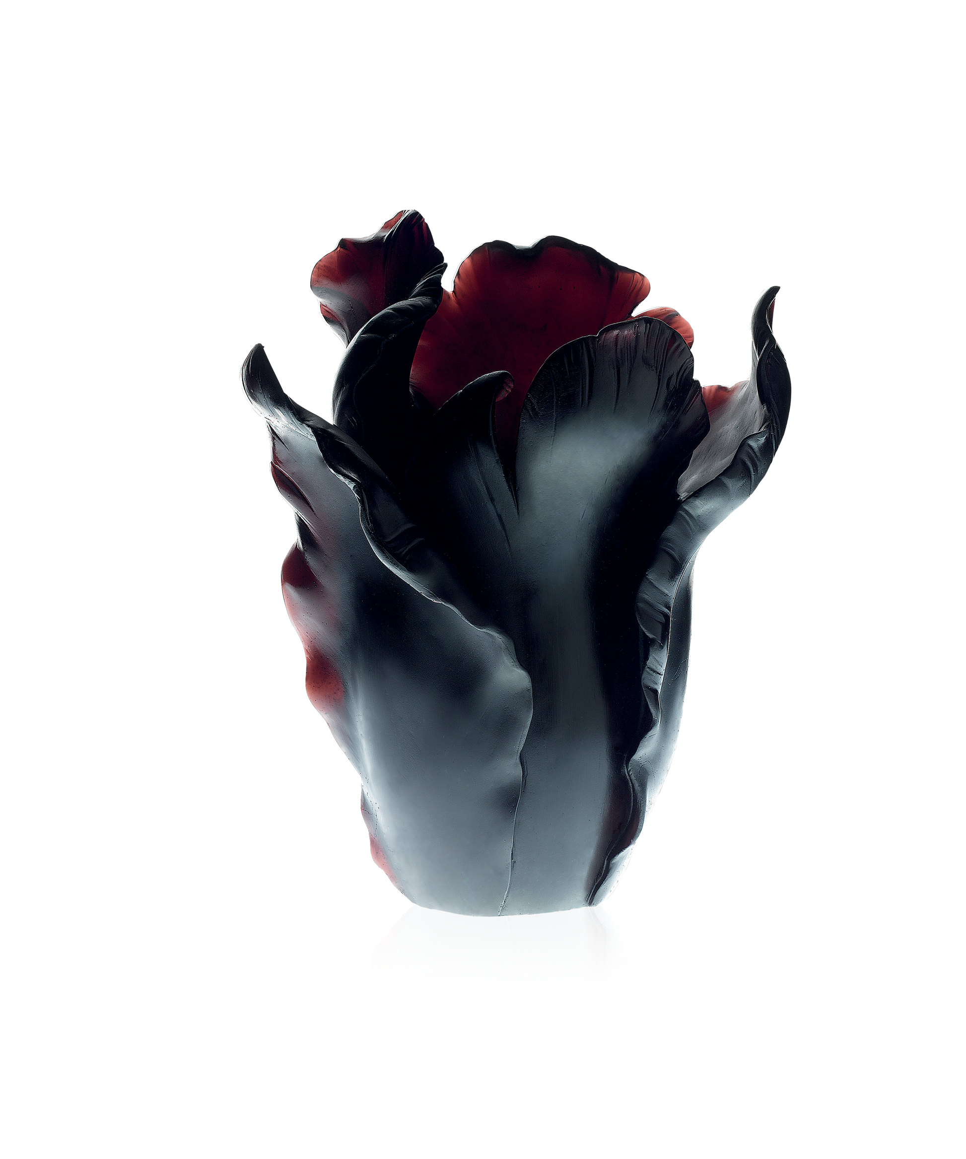 Vase Tulipe grand modèle noir en verre de la marque Daum, élégant et translucide, posé sur une surface.