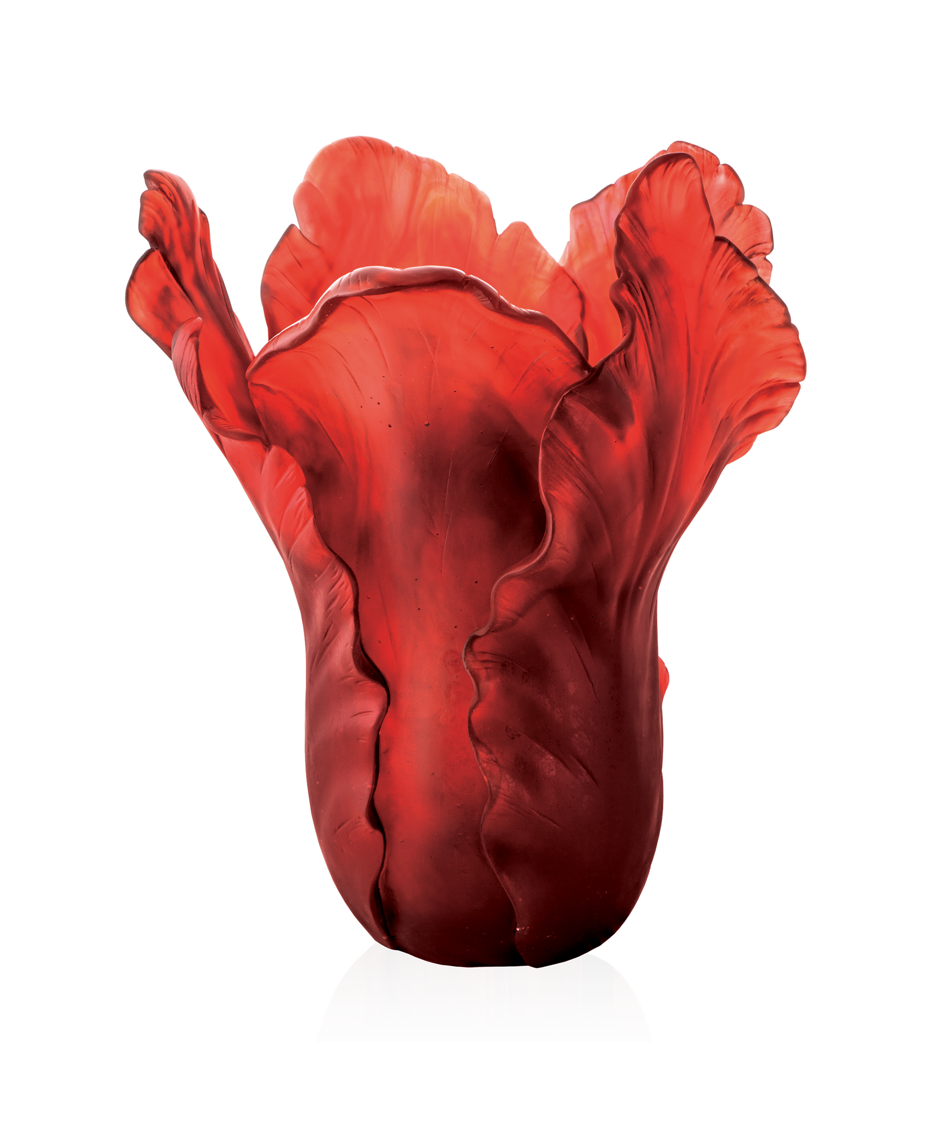 Vase Tulipe Magnum rouge Daum, lot de 50 pièces, verre soufflé élégant avec finition brillante.