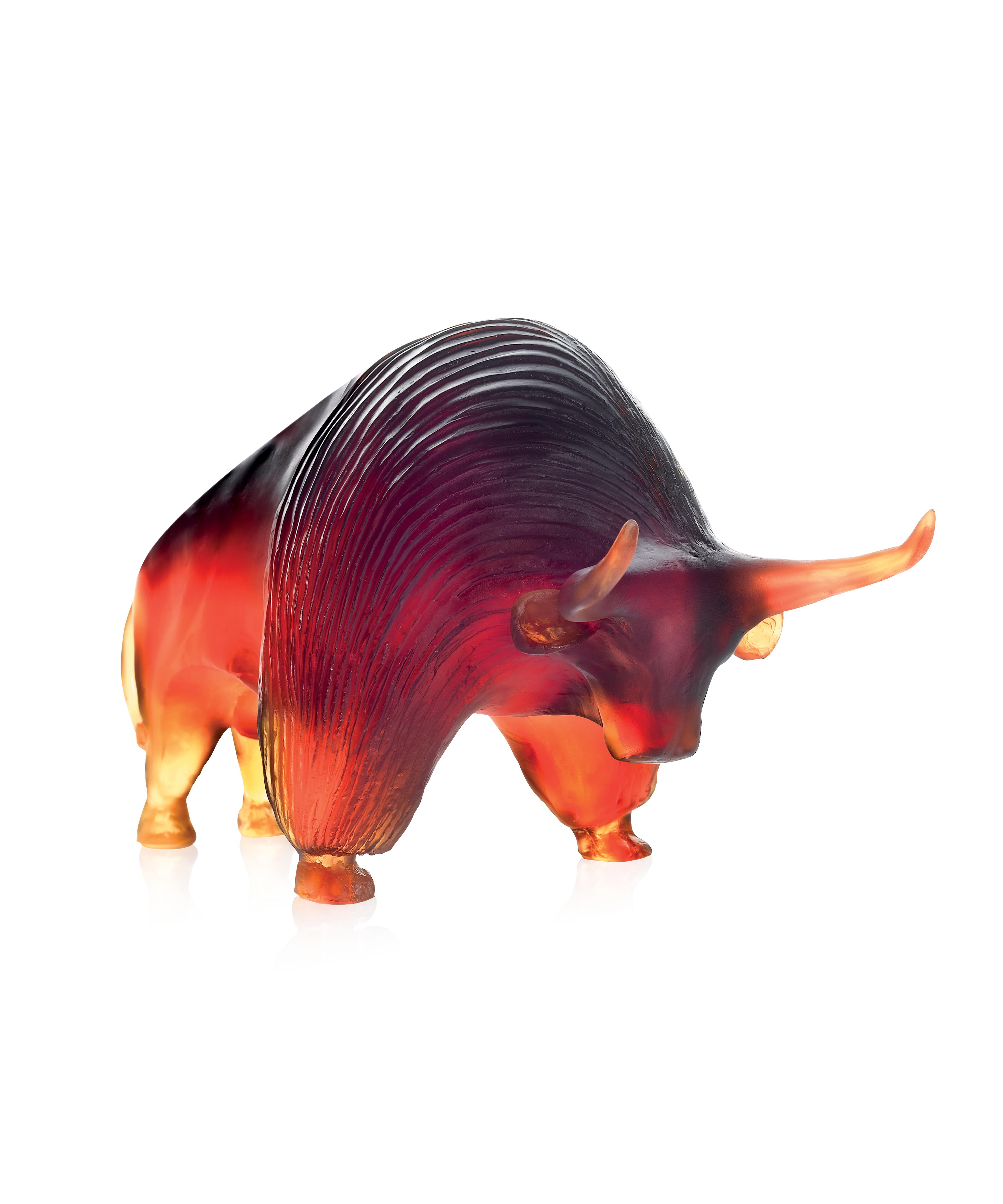 Zebu de Xavier Carnoy 1000ex - Daum